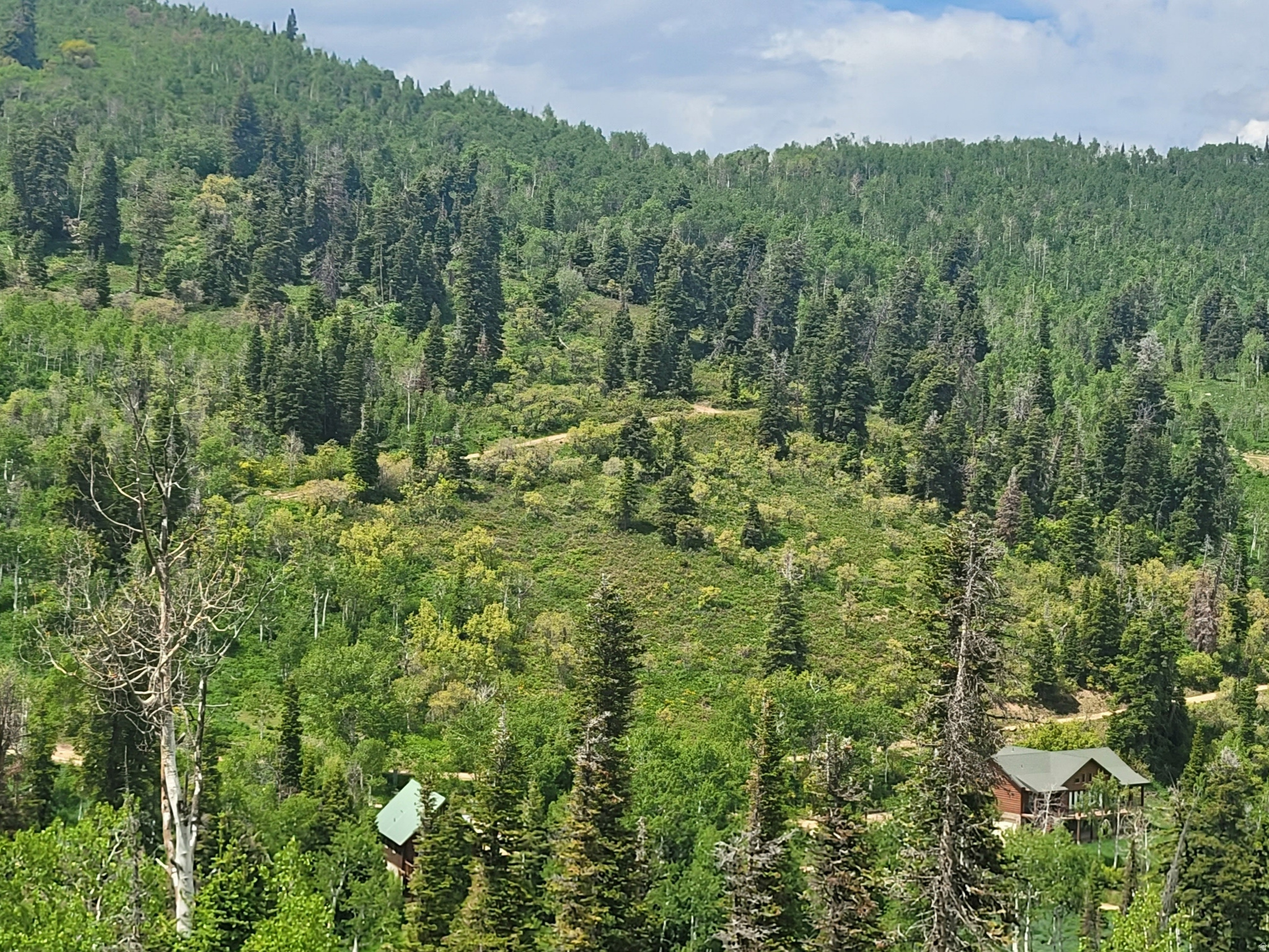 PINE MEADOW RANCH - Land