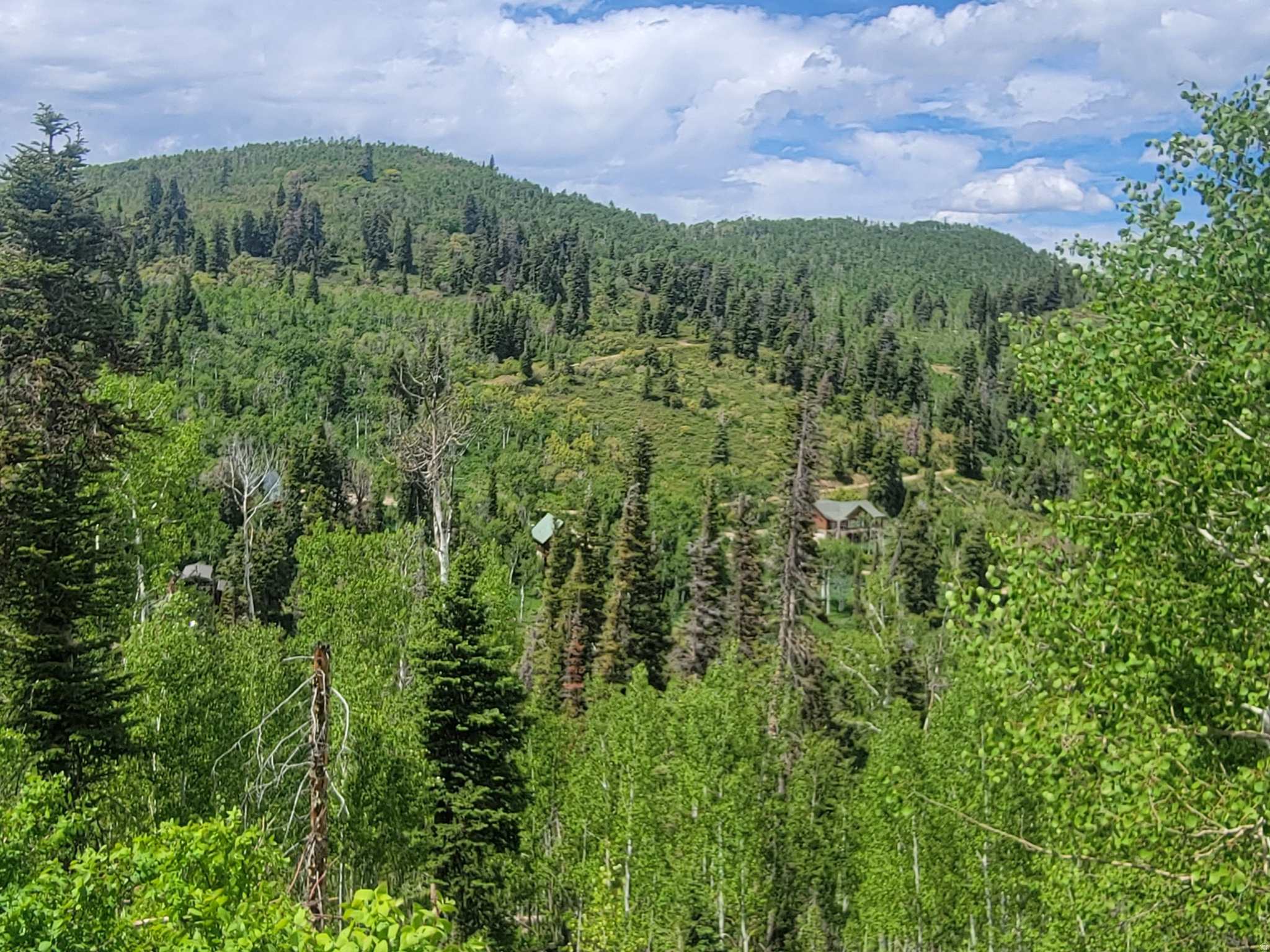 PINE MEADOW RANCH - Land