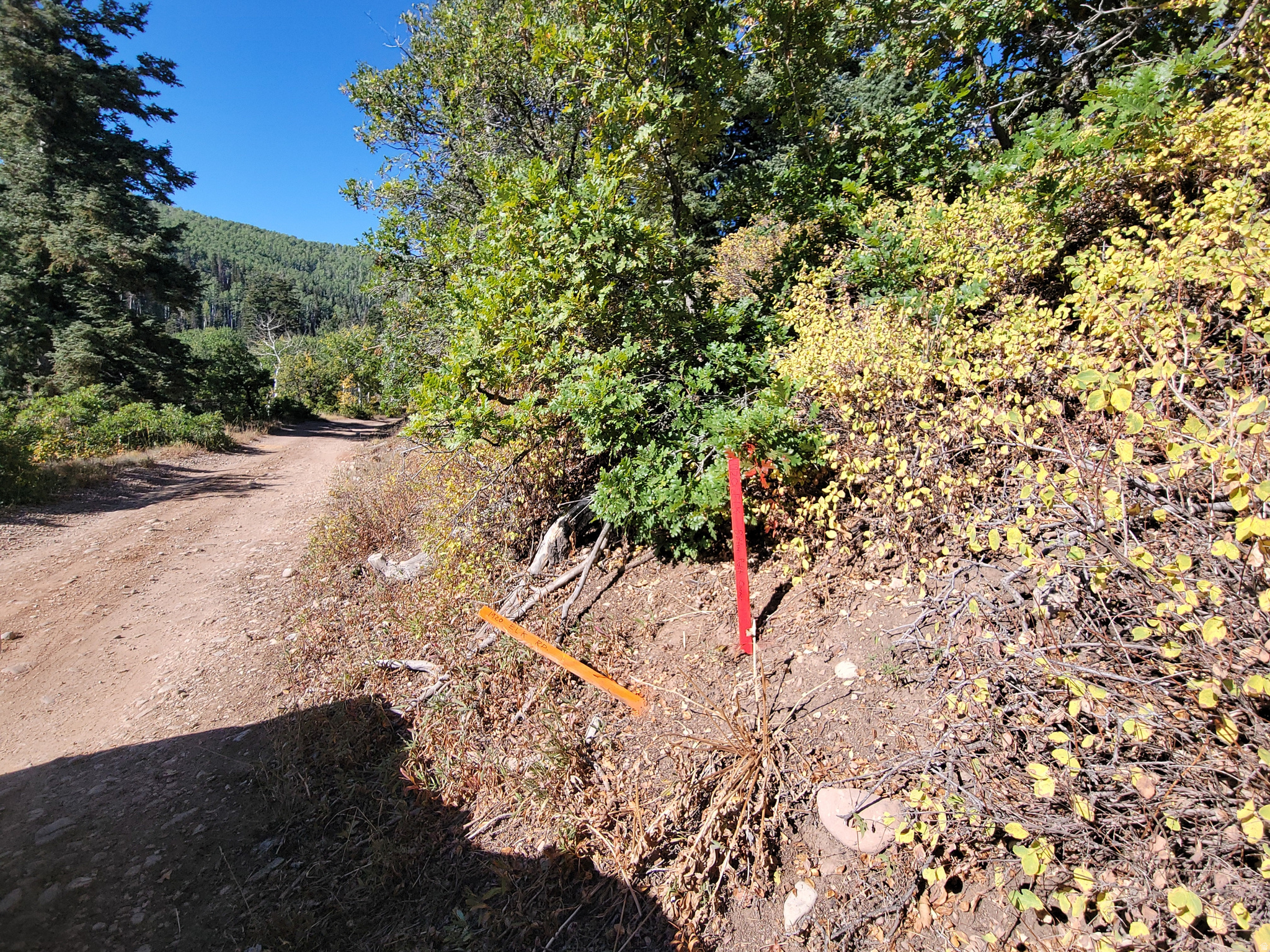 PINE MEADOW RANCH - Land