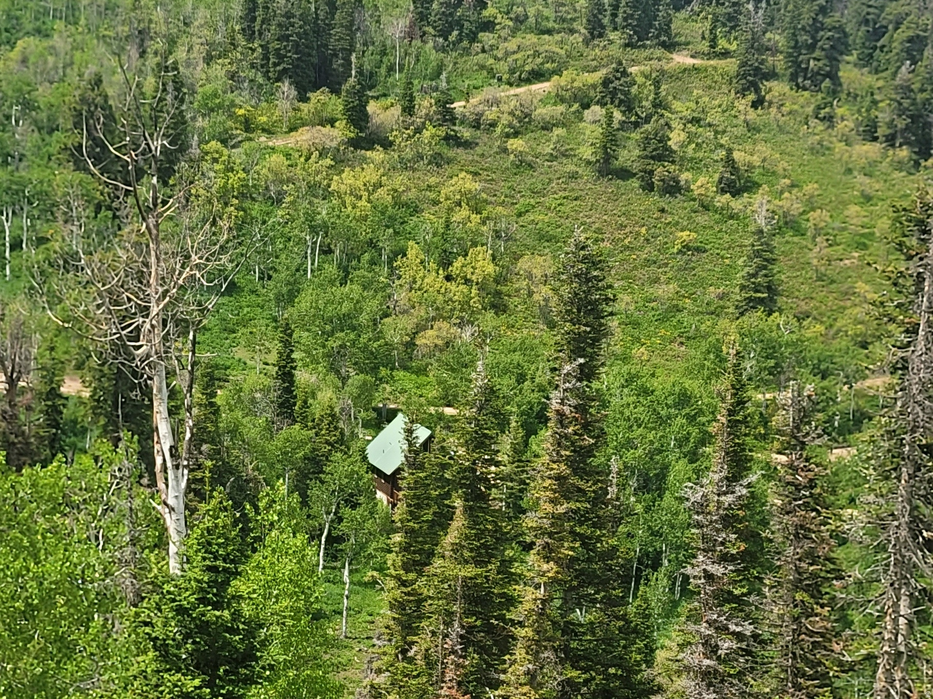 PINE MEADOW RANCH - Land