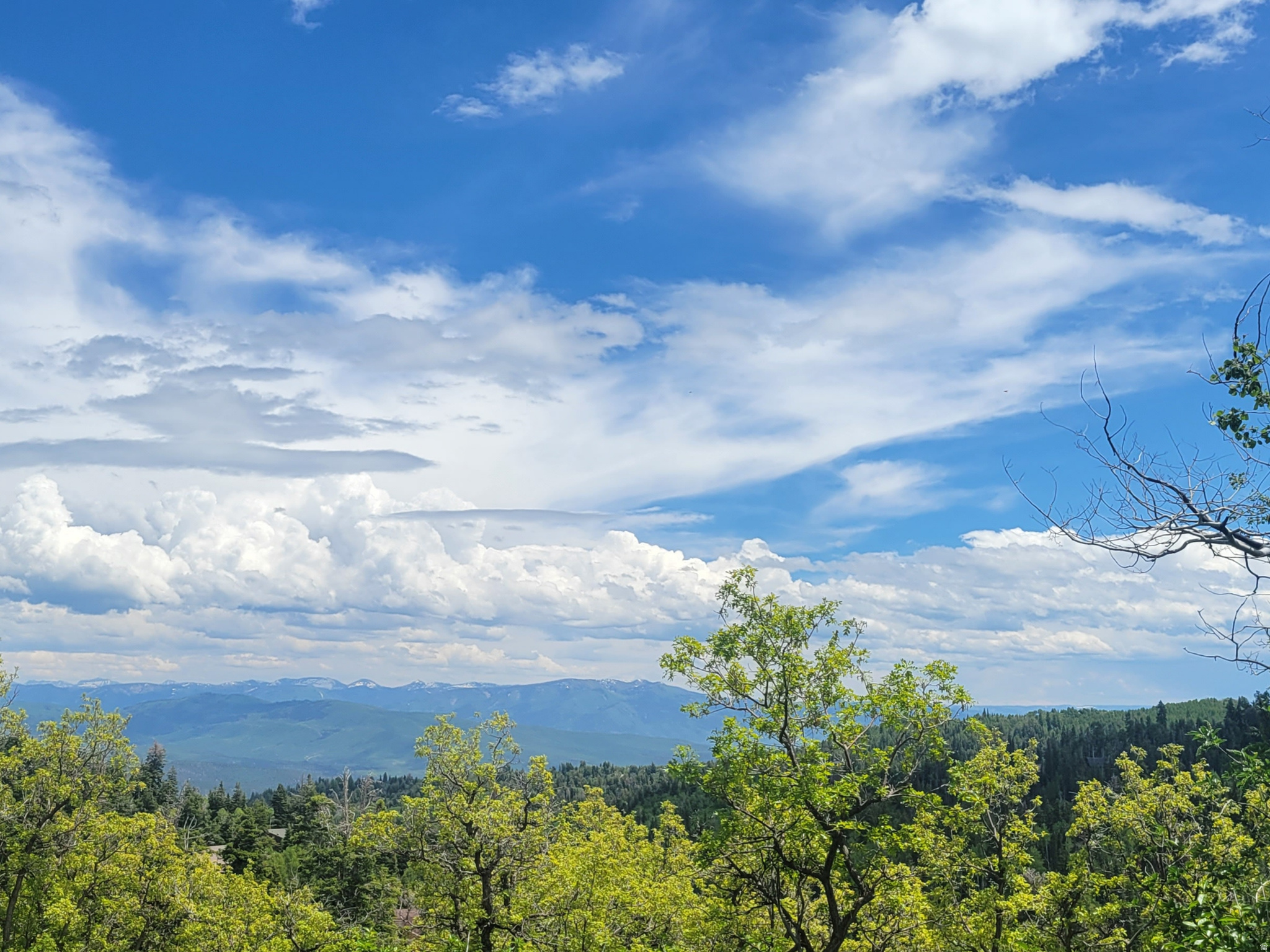 PINE MEADOW RANCH - Land