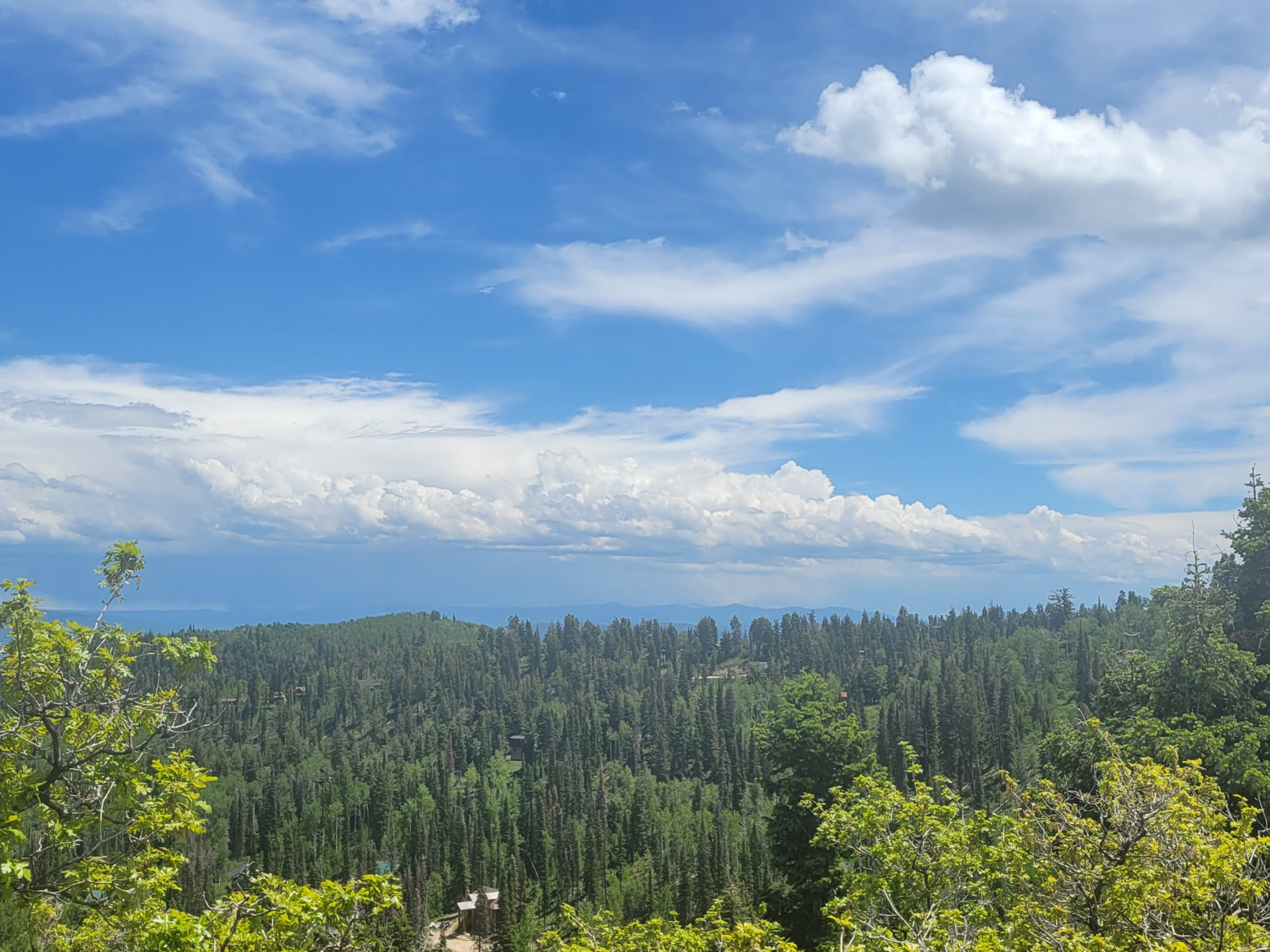 PINE MEADOW RANCH - Land