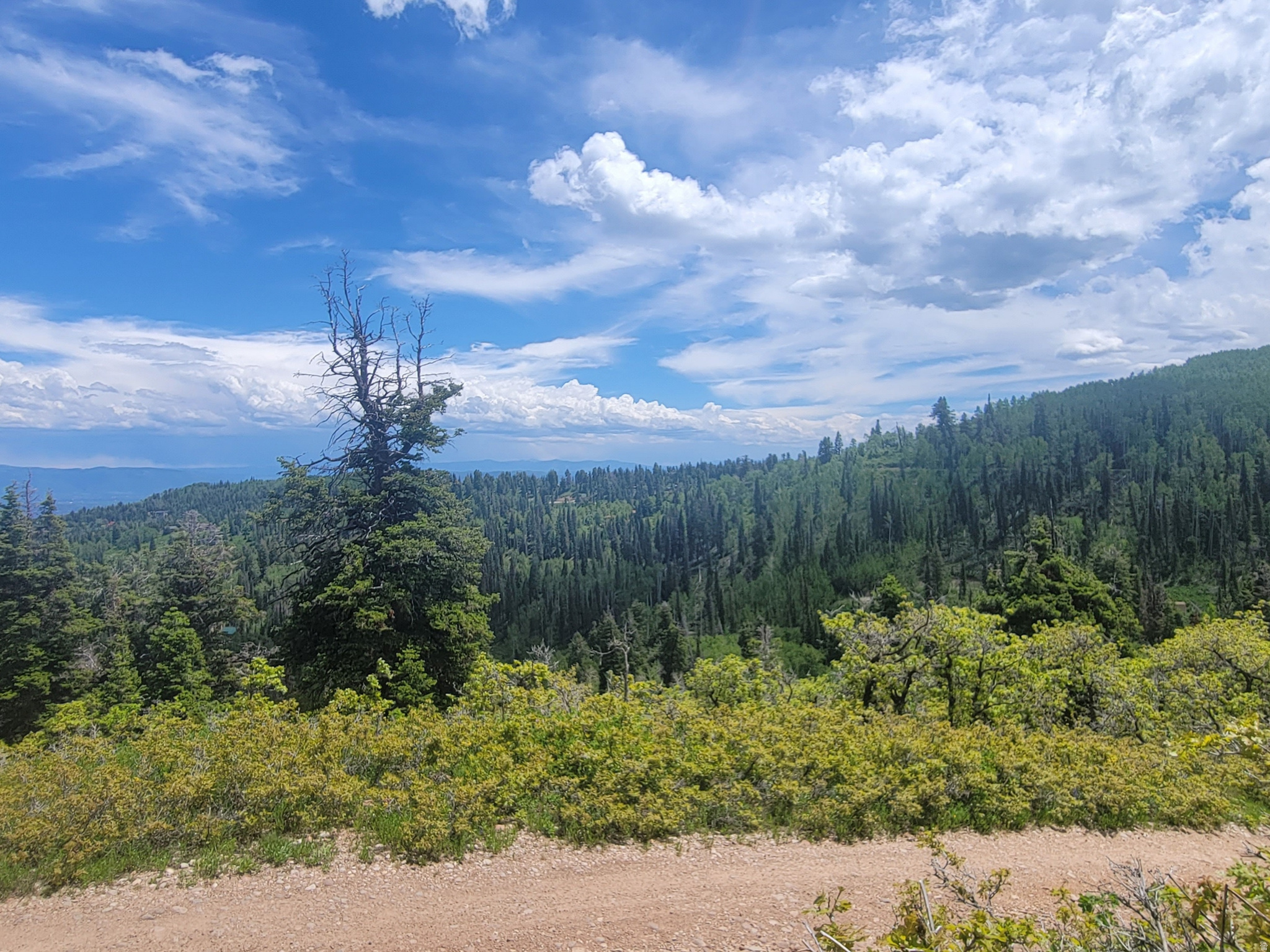 PINE MEADOW RANCH - Land