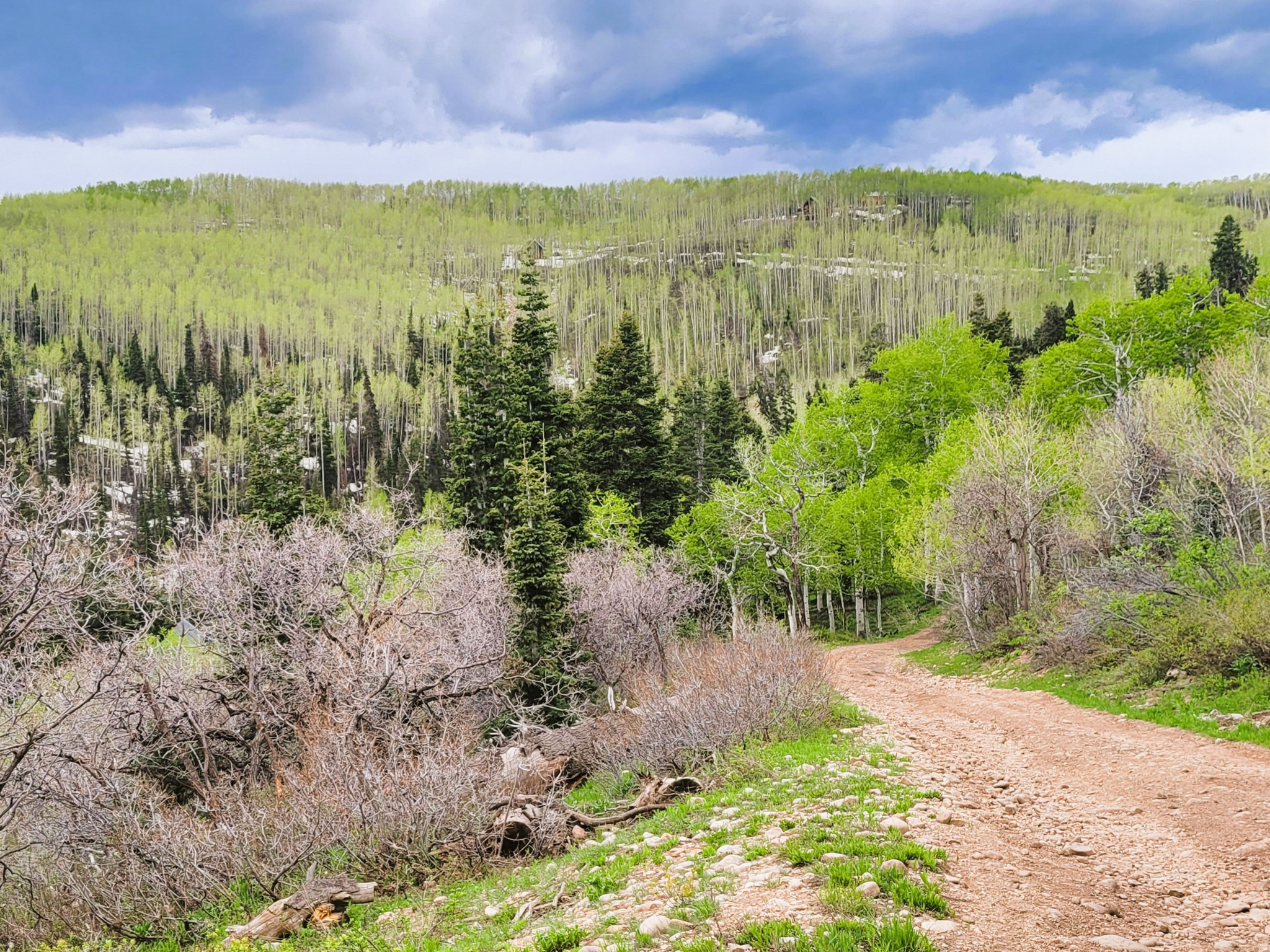 PINE MEADOW RANCH - Land