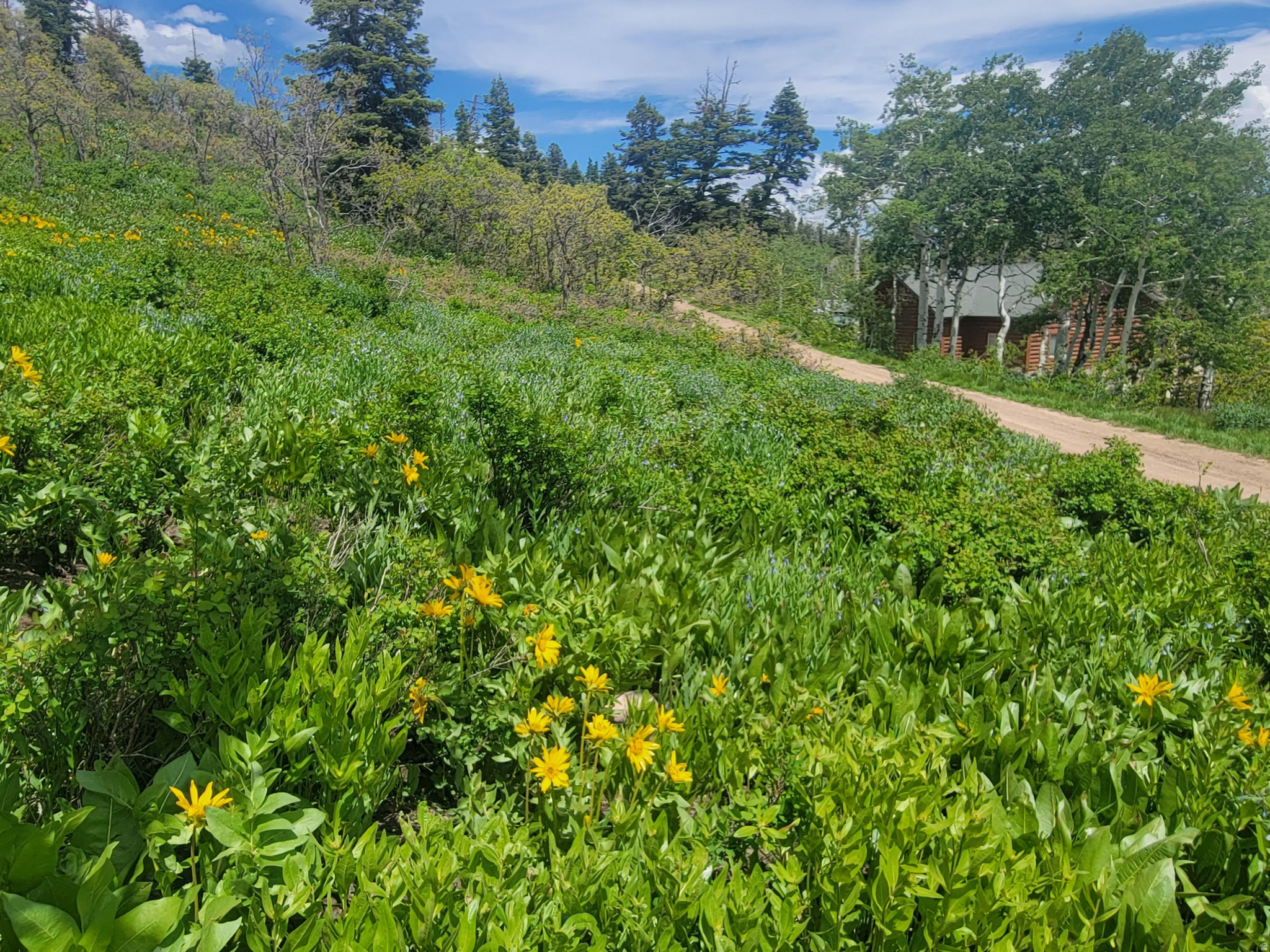 PINE MEADOW RANCH - Land