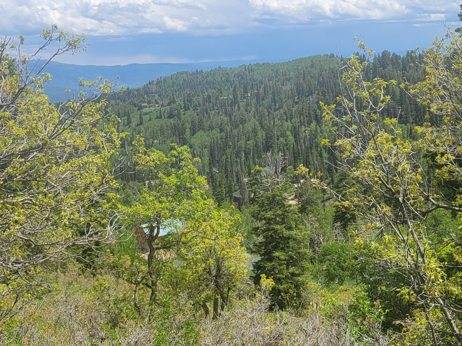 PINE MEADOW RANCH - Land