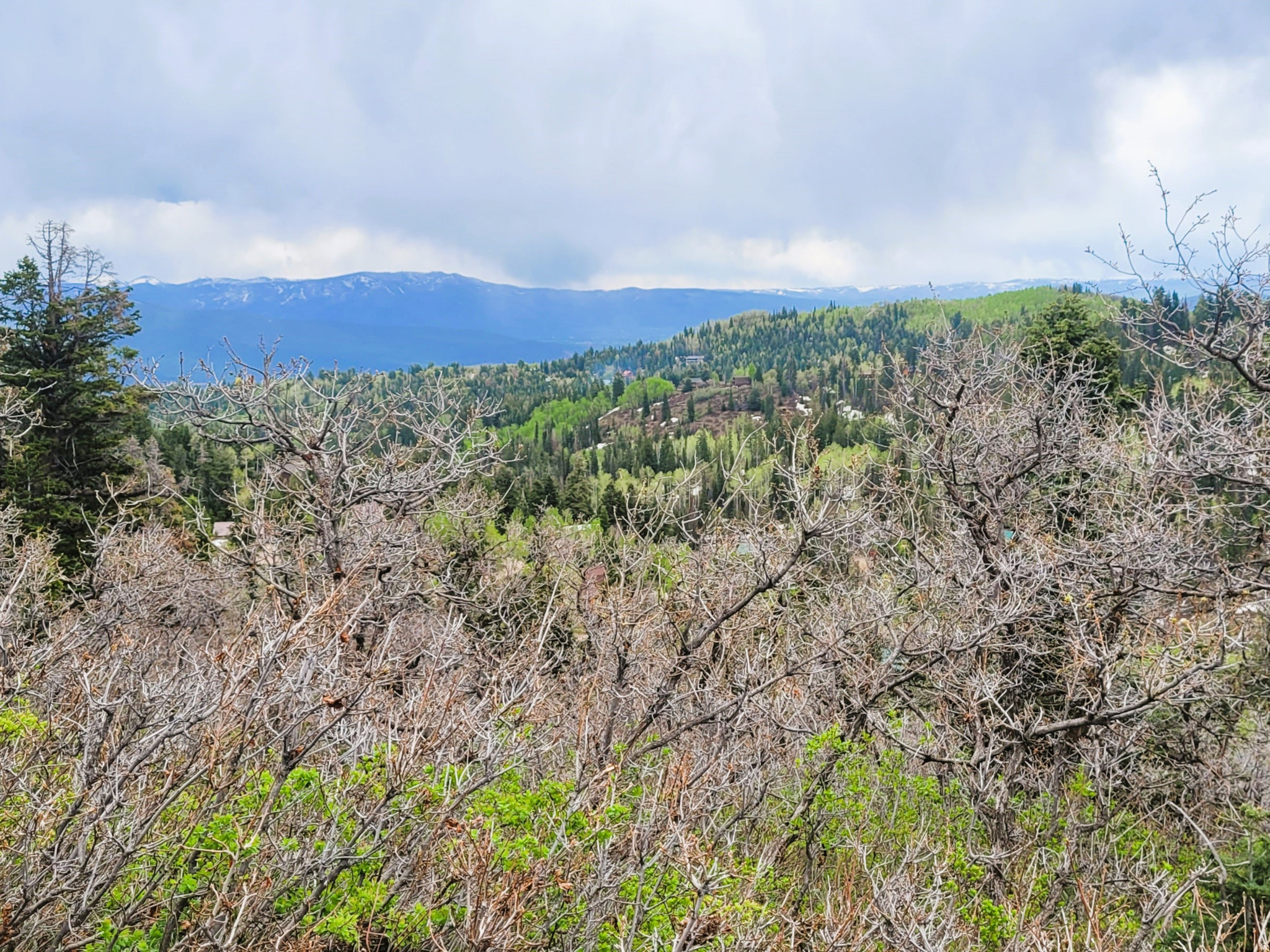 PINE MEADOW RANCH - Land