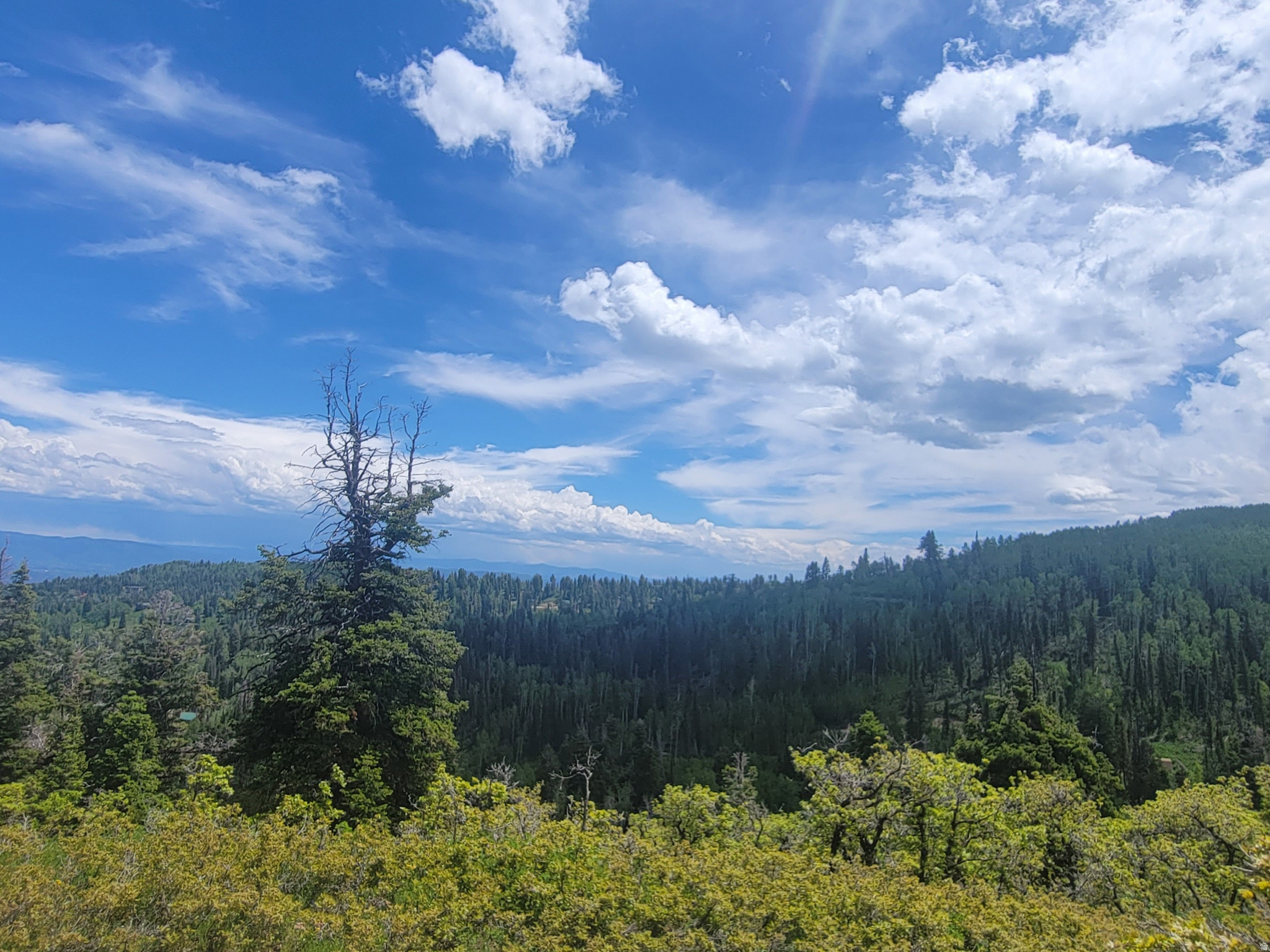 PINE MEADOW RANCH - Land