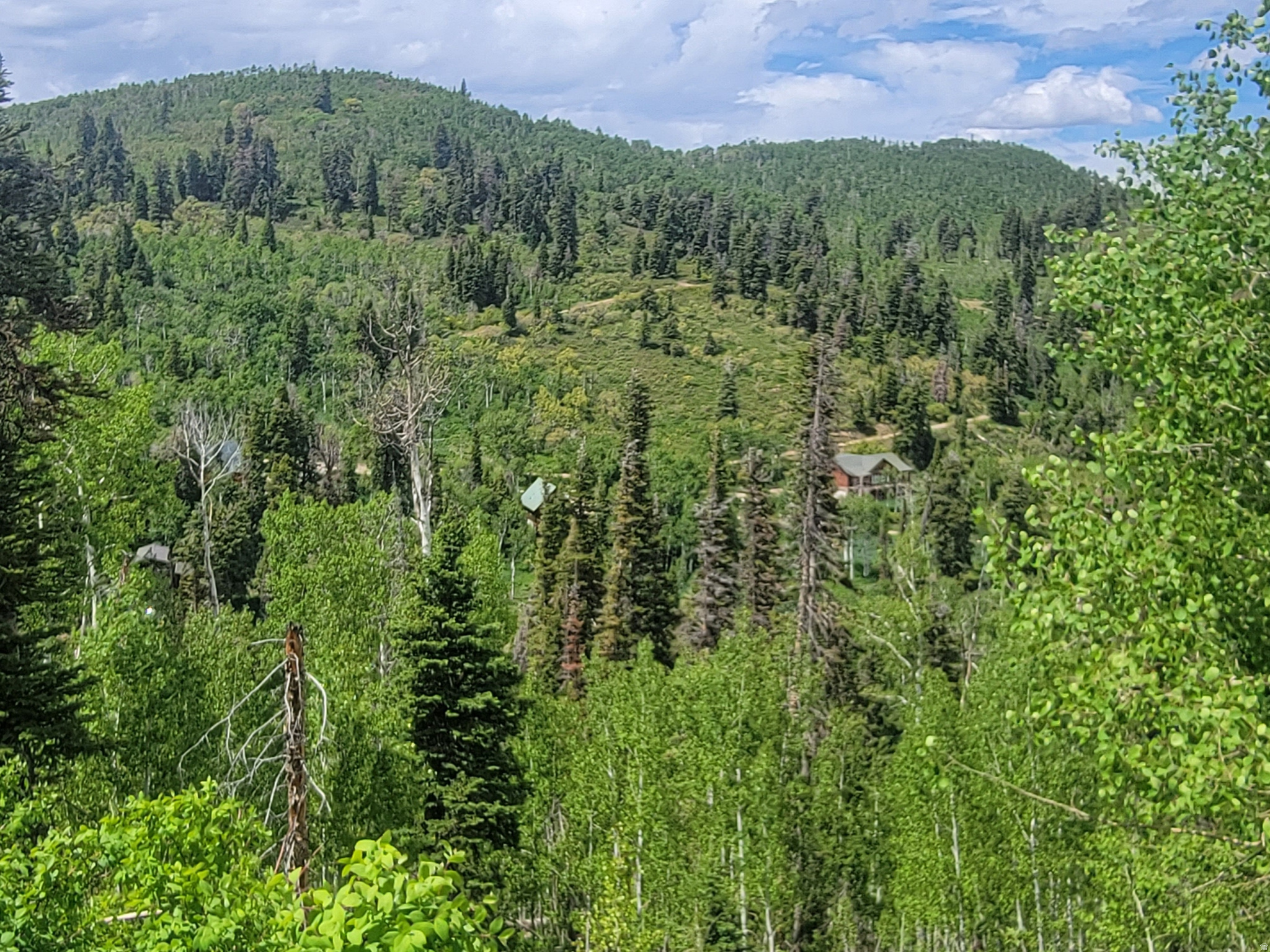PINE MEADOW RANCH - Land