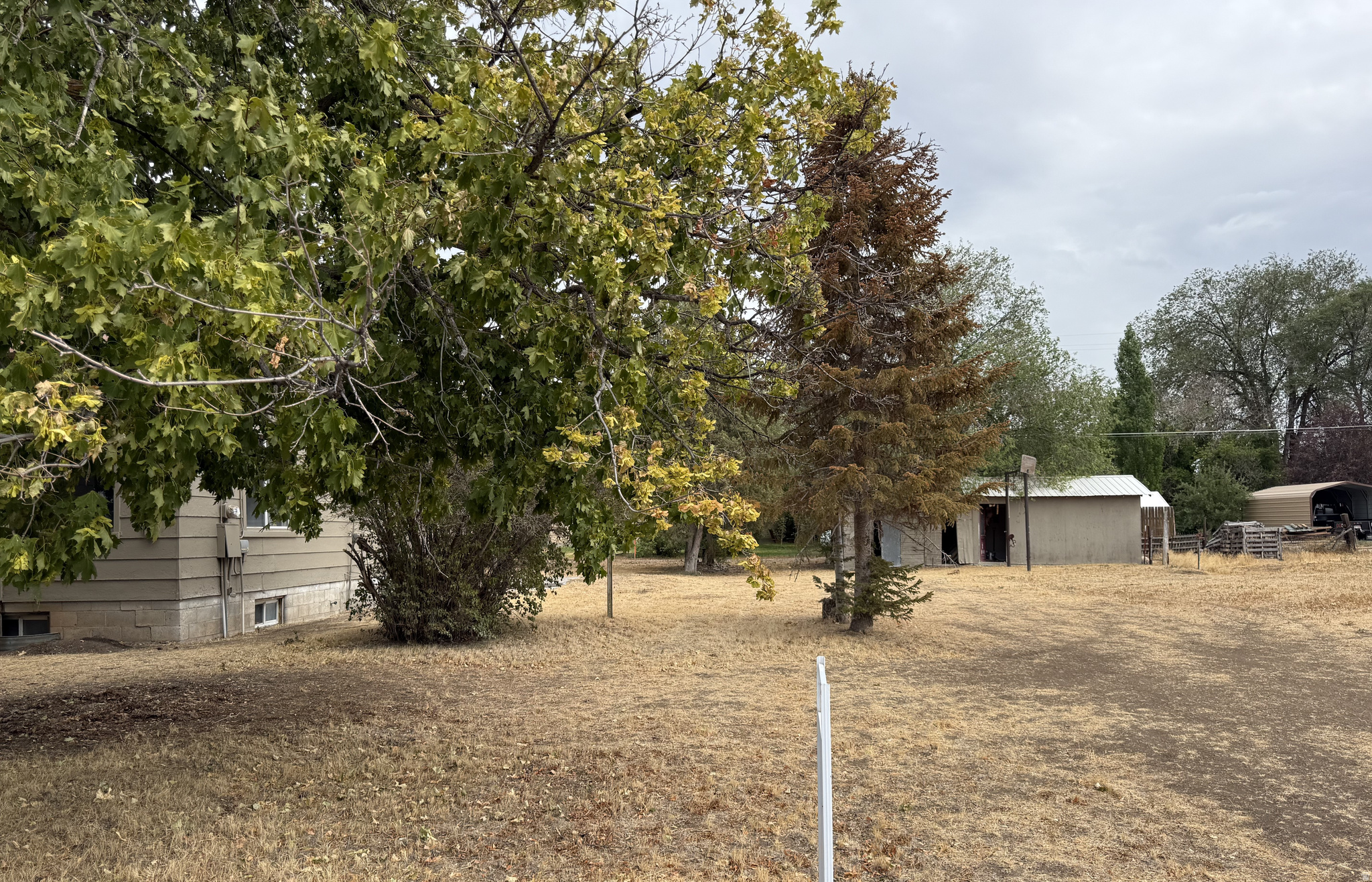 DOWNEY TOWNSITE - Land