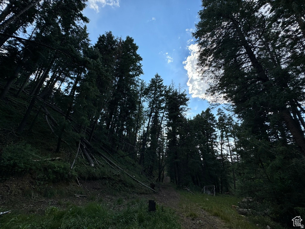 PINE CREEK RANCH - Land