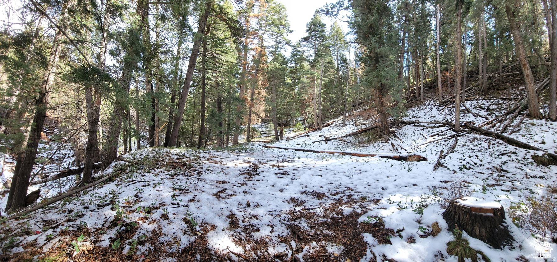 PINE CREEK RANCH - Land