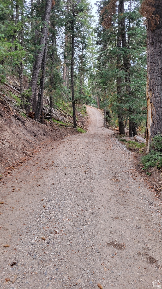 PINE CREEK RANCH - Land
