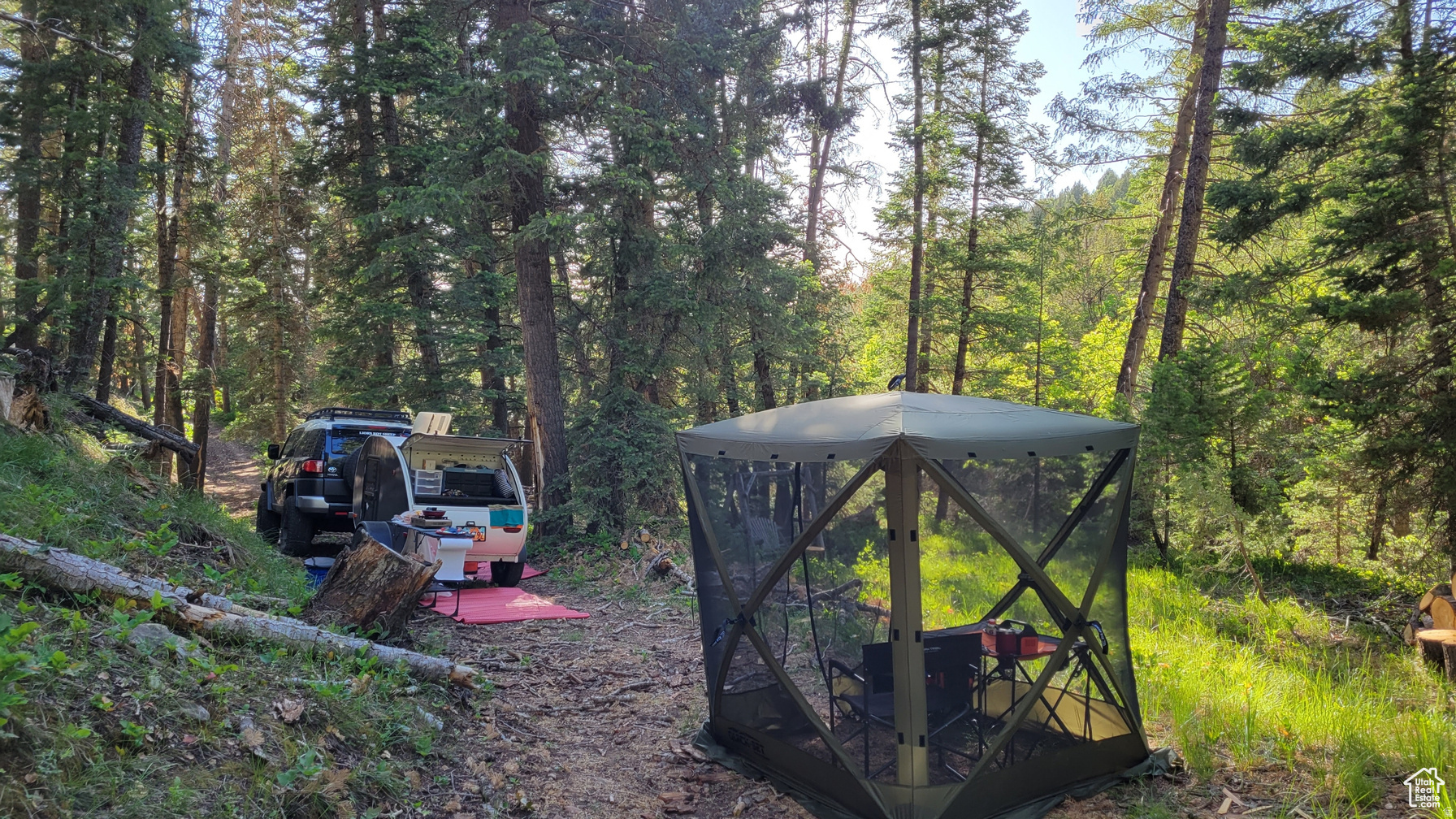 PINE CREEK RANCH - Land
