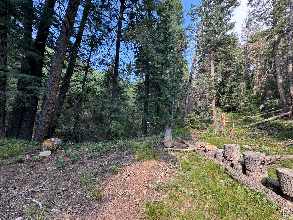 PINE CREEK RANCH - Land