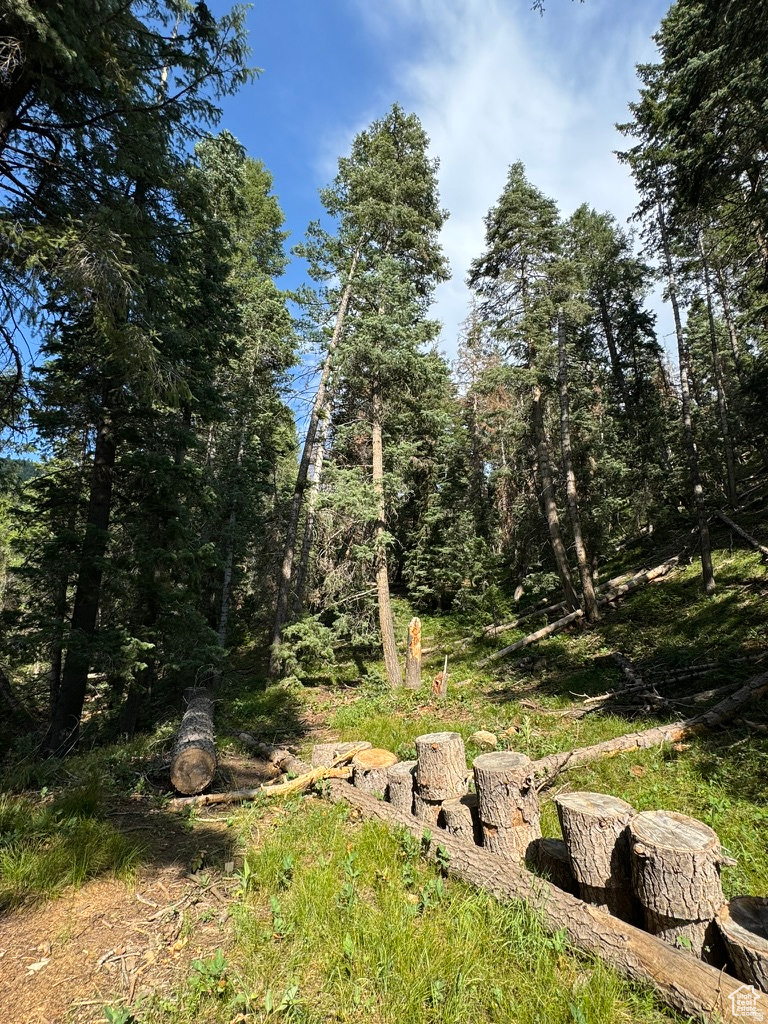 PINE CREEK RANCH - Land