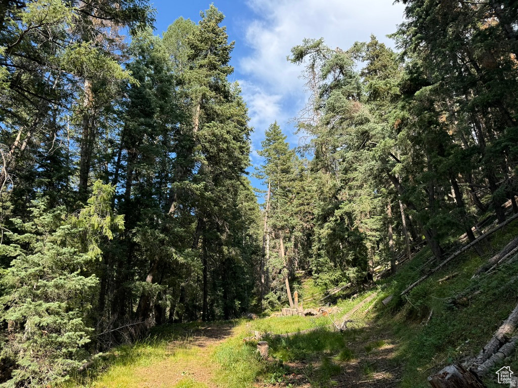 PINE CREEK RANCH - Land