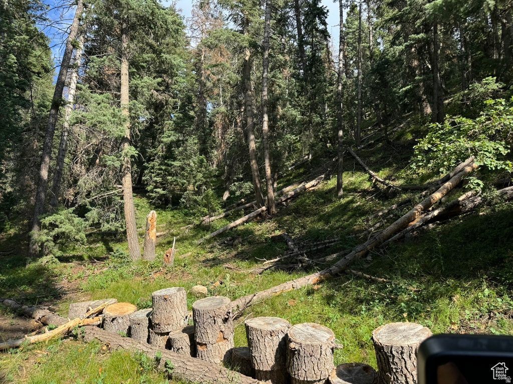 PINE CREEK RANCH - Land