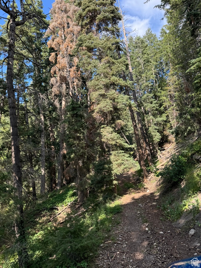 PINE CREEK RANCH - Land