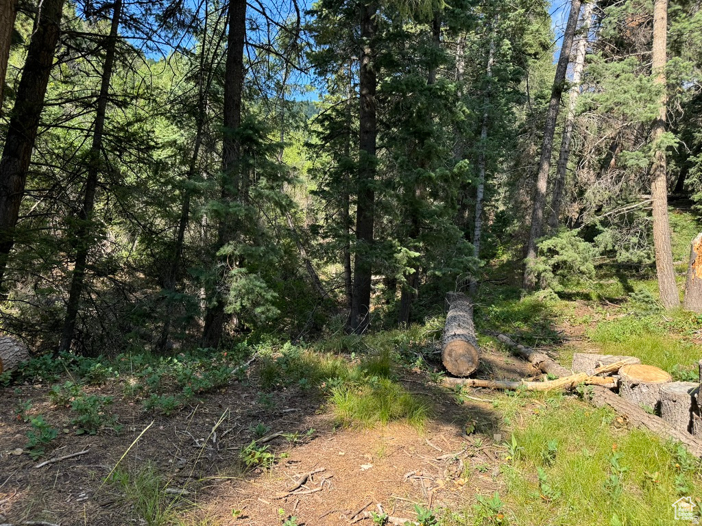 PINE CREEK RANCH - Land