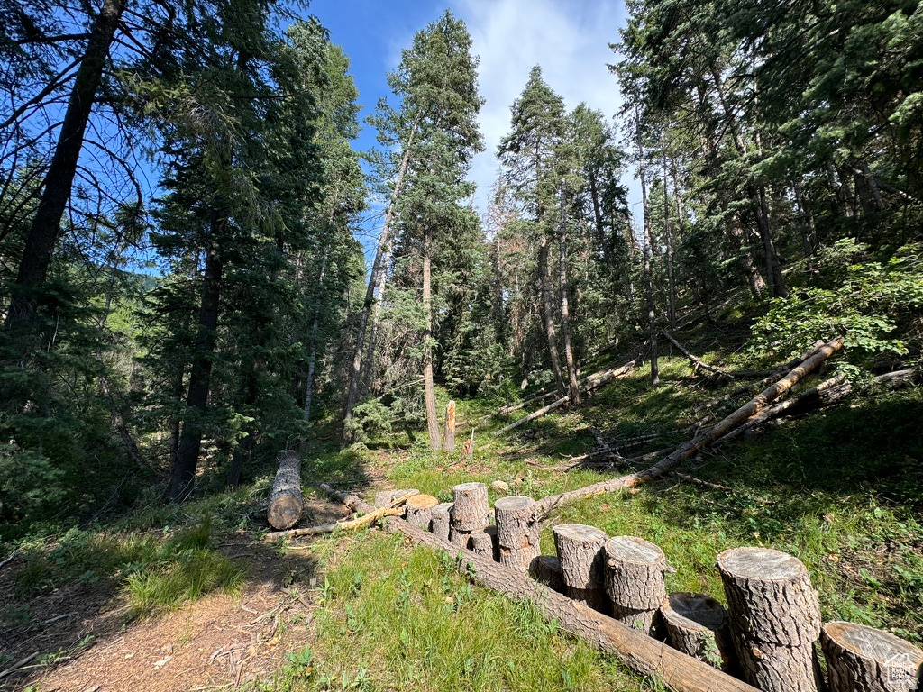 PINE CREEK RANCH - Land