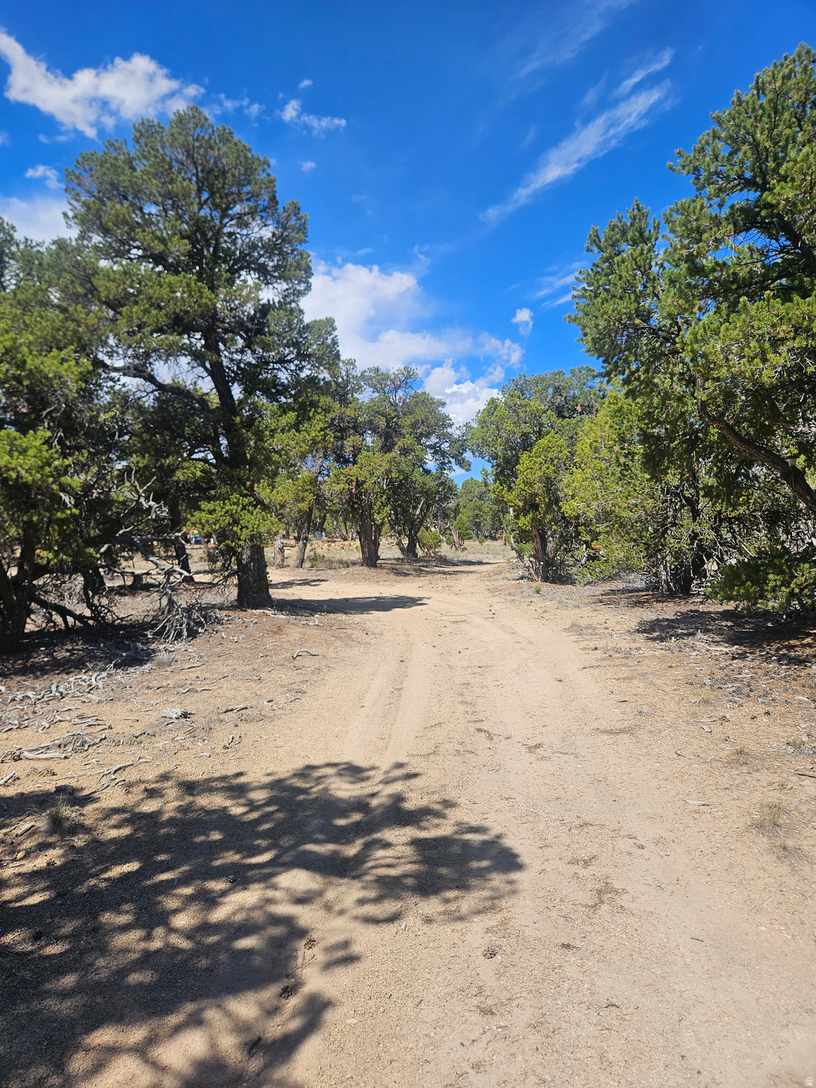 CEDAR MT 3 - Land