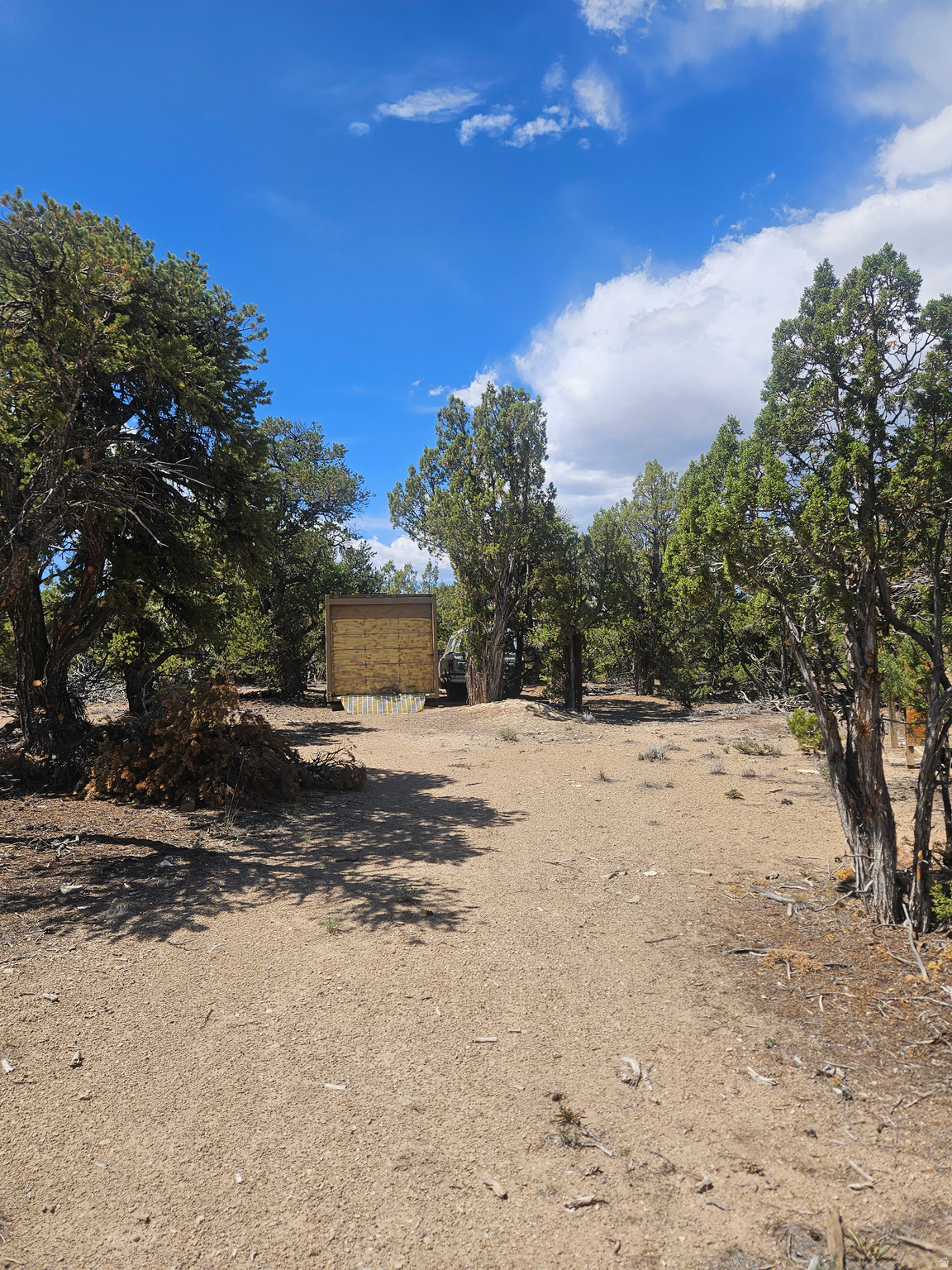 CEDAR MT 3 - Land