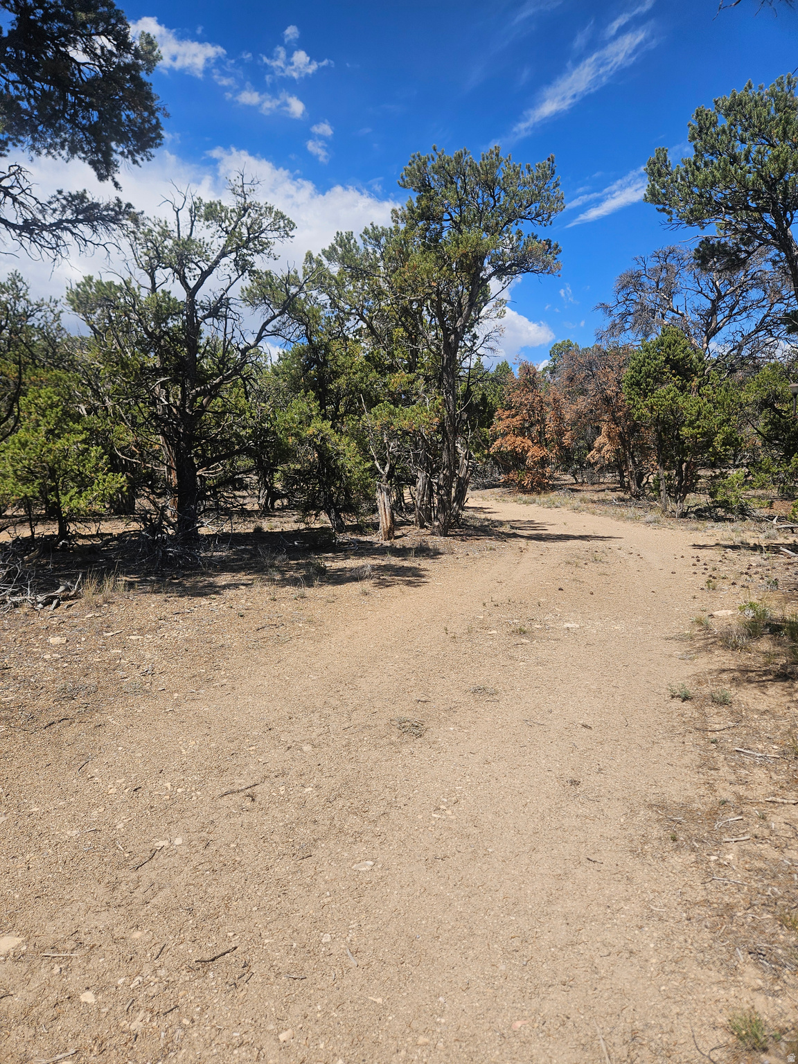 CEDAR MT 3 - Land