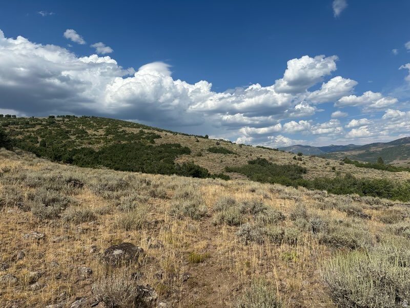 Raw land with no utilities in beautiful Woodland mountain setting.  Selling 2 abutting parcels together, each containing 11.59 acres.  Parcel  # 00-0008-1385, 11.59 acres and 00-0008-1377, 11.59 acres. Both parcels combined contain 23.19 acres. Buyer to verify all property information independently.