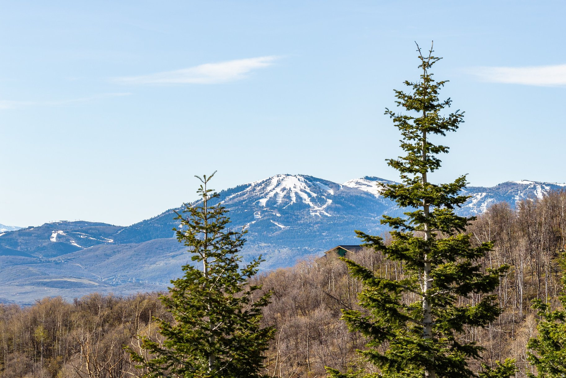 This 10.42-acre homesite in the gated Stagecoach Estates community offers a rare combination of mountain privacy and close proximity to Park City. The uphill build site is designed to maximize sweeping alpine views and frequent wildlife sightings, with a granted access easement across the neighboring lot providing a beautiful driveway entrance to an elevated building pad. Development is simplified with an included site plan and topographical survey. Residents enjoy reliable year-round access via the Kimball Canyon Road plow route, and the HOA is scheduled to pave the road over the next two years. Situated within the sought-after Park City School District, this expansive property is the perfect foundation for a secluded yet accessible mountain retreat.
