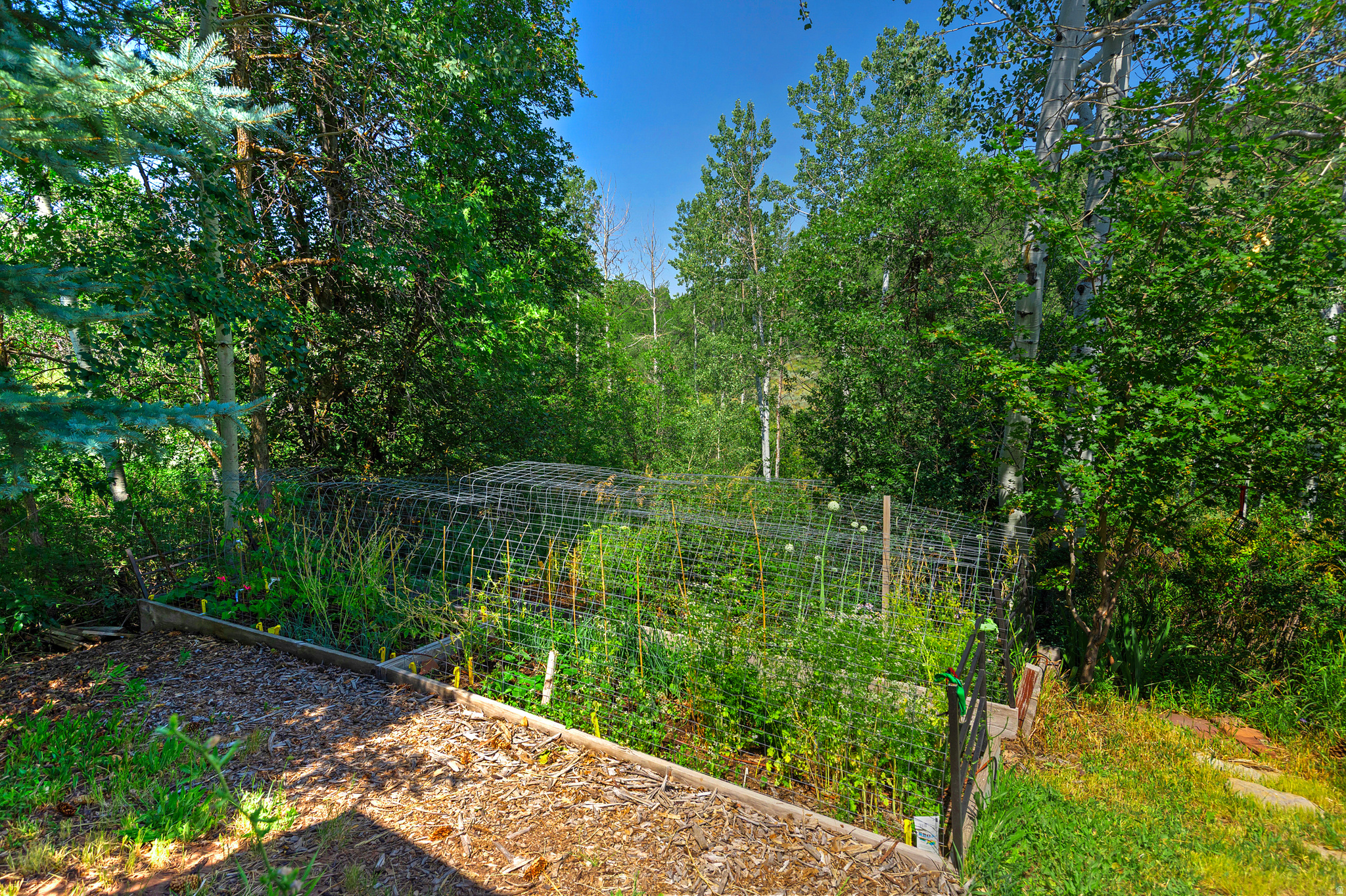 EMIGRATION OAKS - Residential