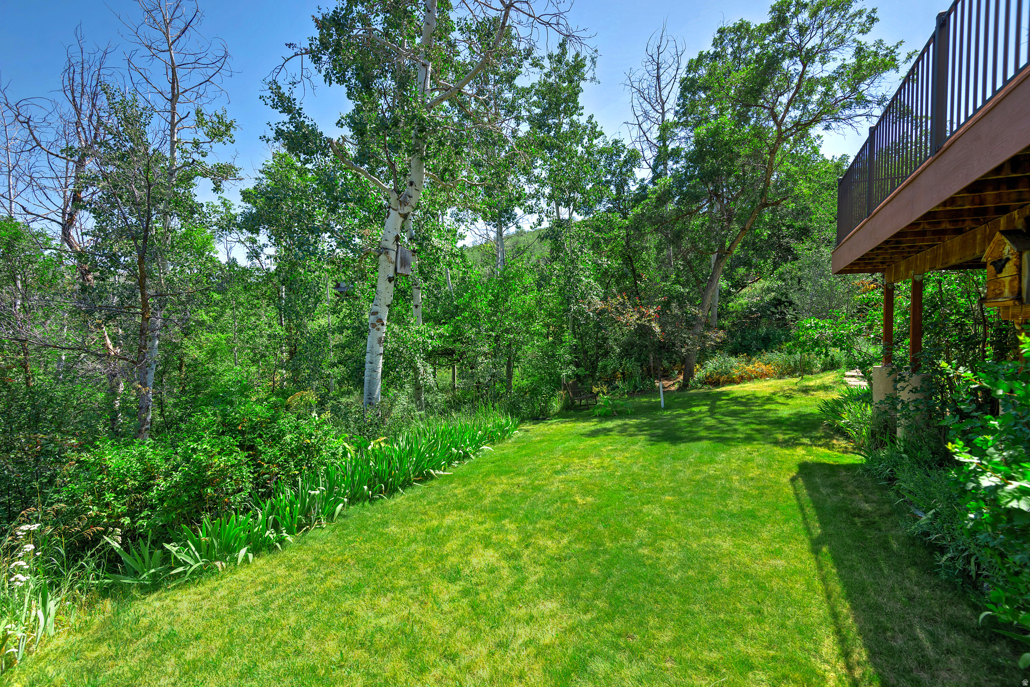 EMIGRATION OAKS - Residential