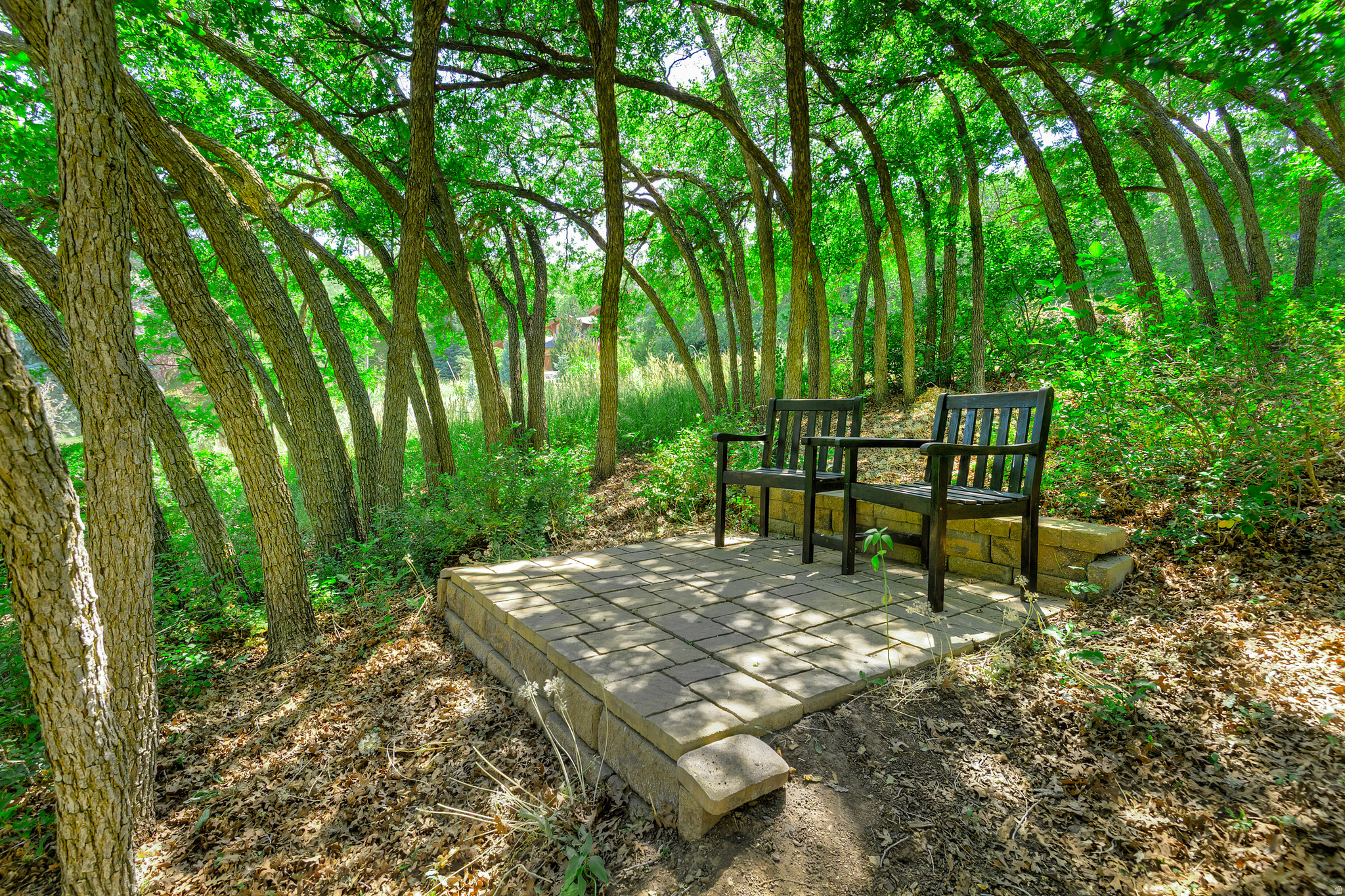 EMIGRATION OAKS - Residential