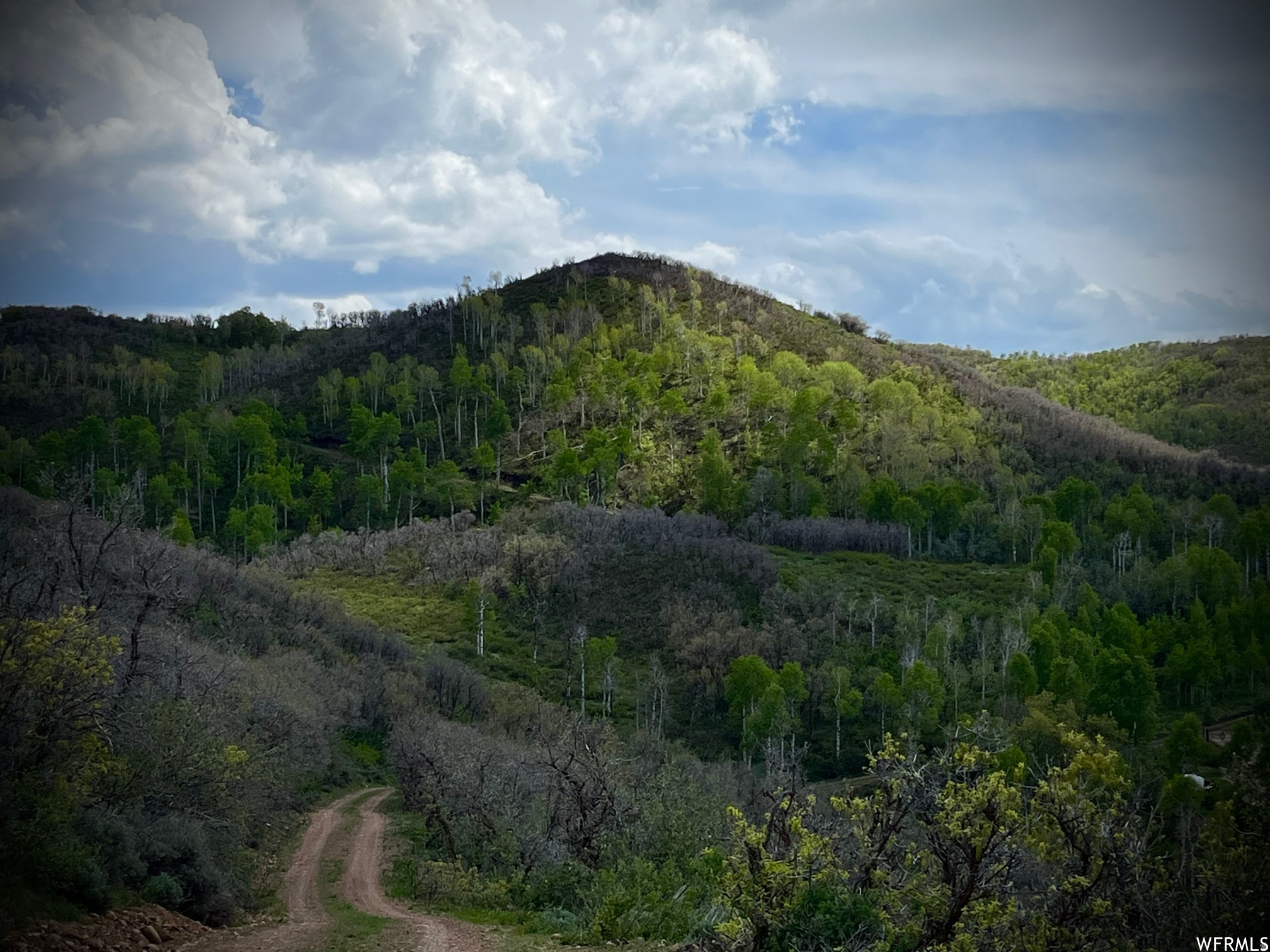 ECHO CREEK RANCHES - Land