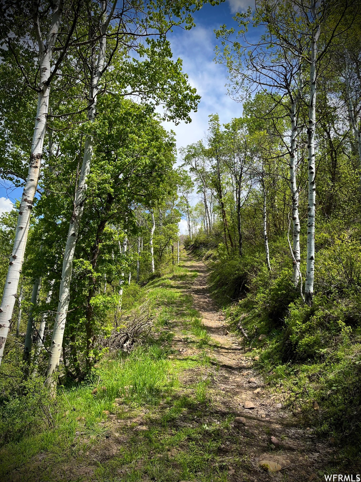 ECHO CREEK RANCHES - Land