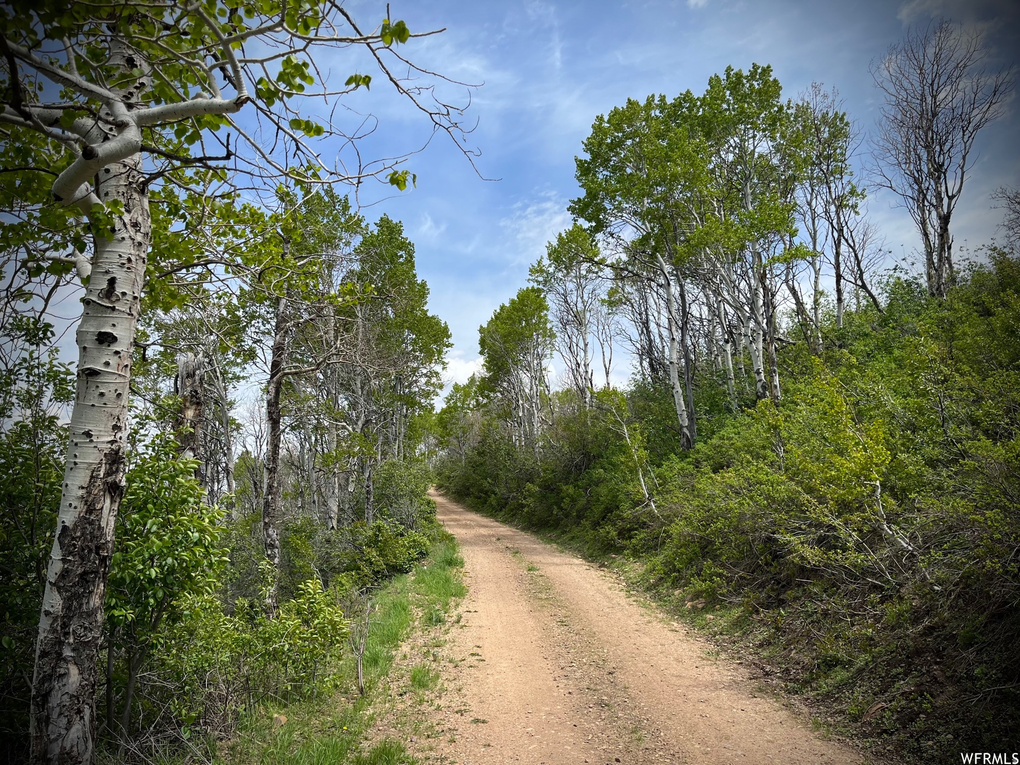 ECHO CREEK RANCHES - Land