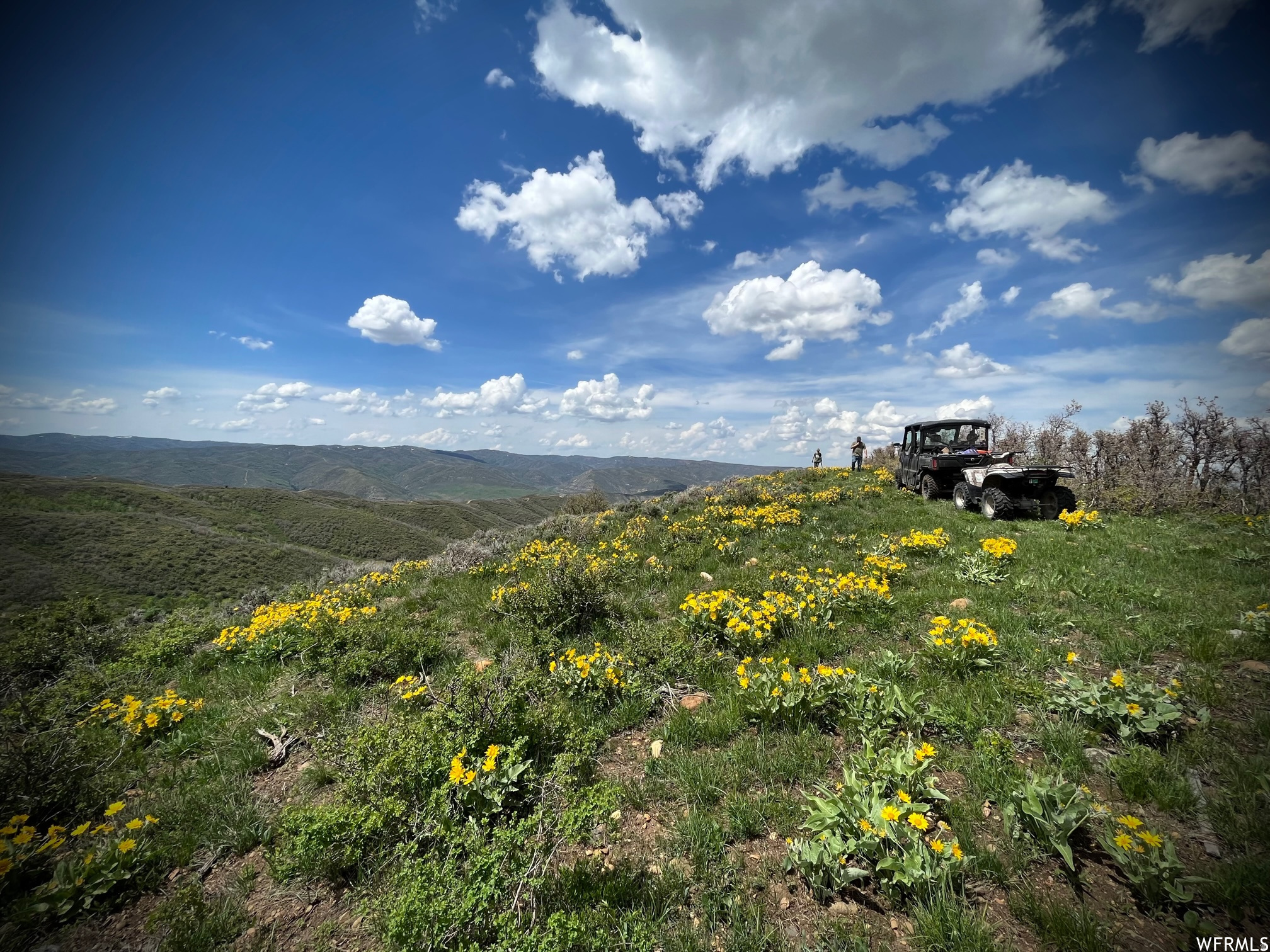 ECHO CREEK RANCHES - Land