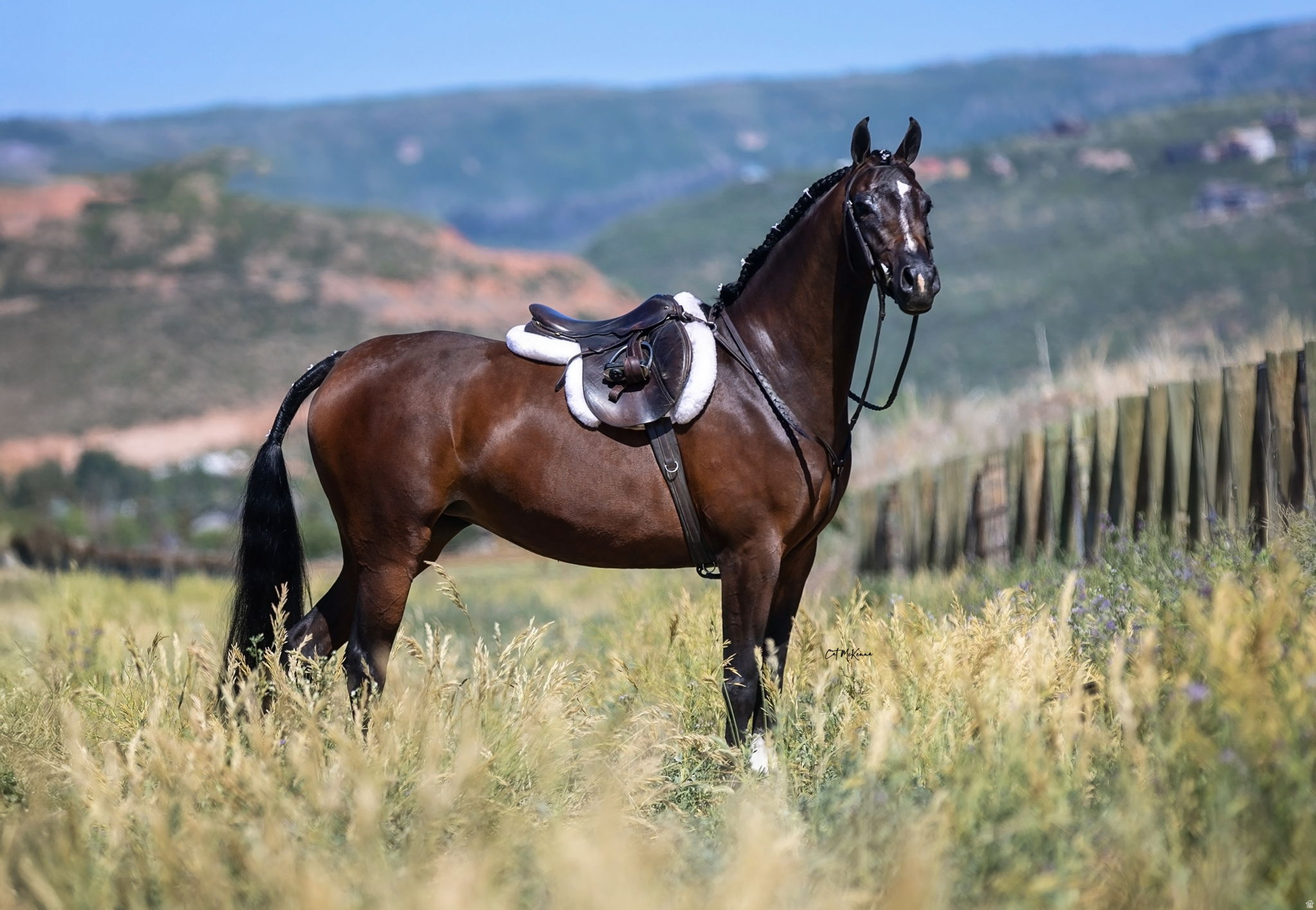 WHITE EAGLE RANCH - Land