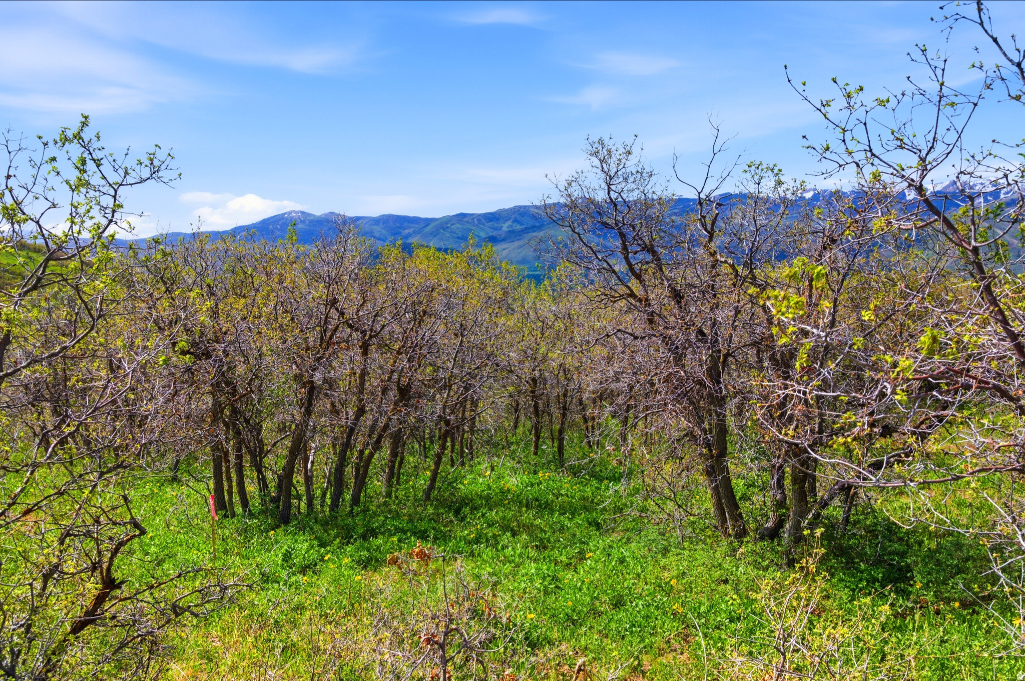 PRESERVE PHASE 3 SUBDIVISION - Land