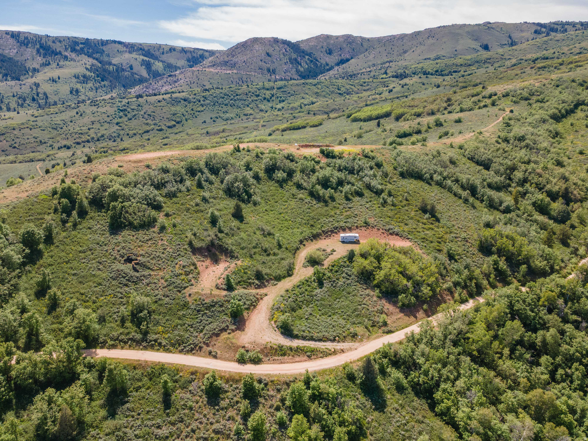 EVERGREEN - Land