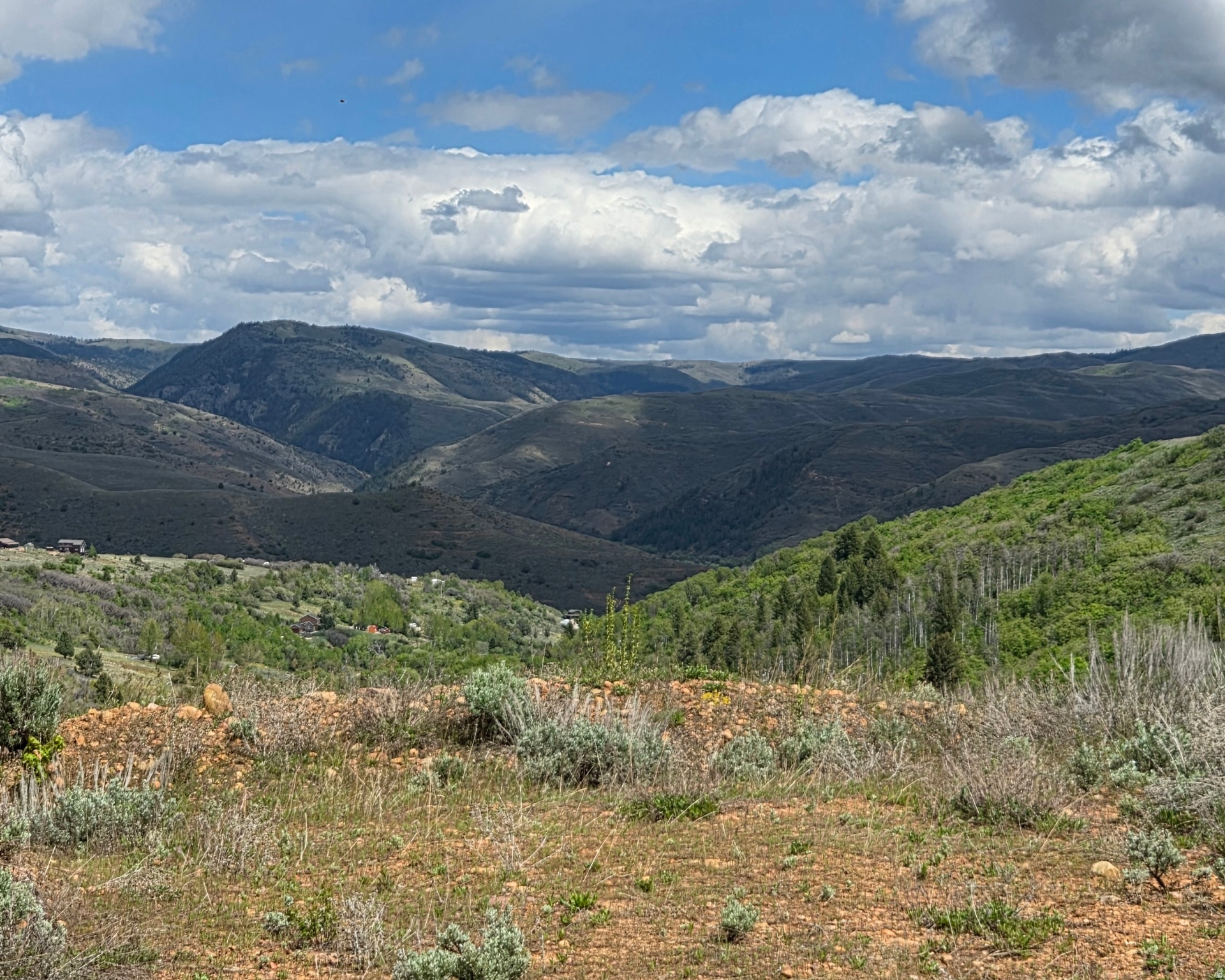 EVERGREEN - Land