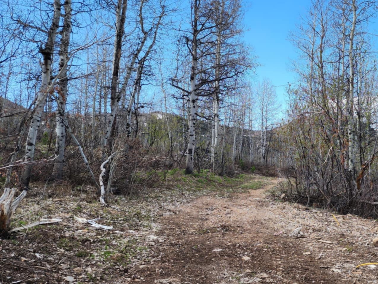 SUNRIDGE - Land