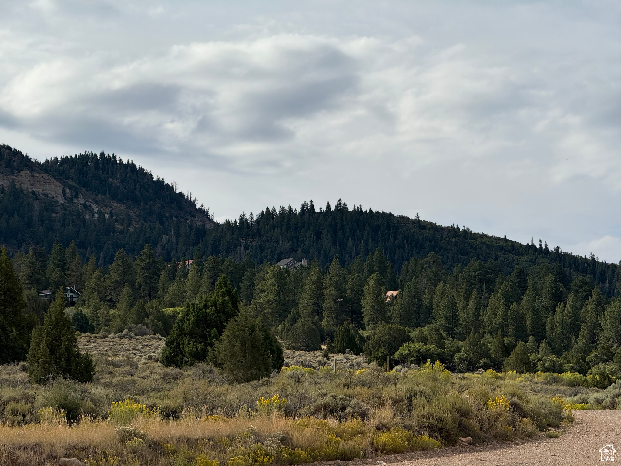 BRYCE WOODLAND ESTATE - Land
