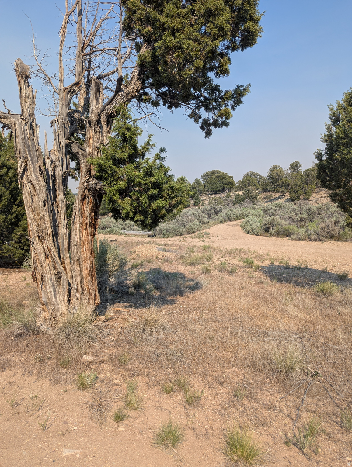 CEDAR MOUNTAIN NO. 9 - Land