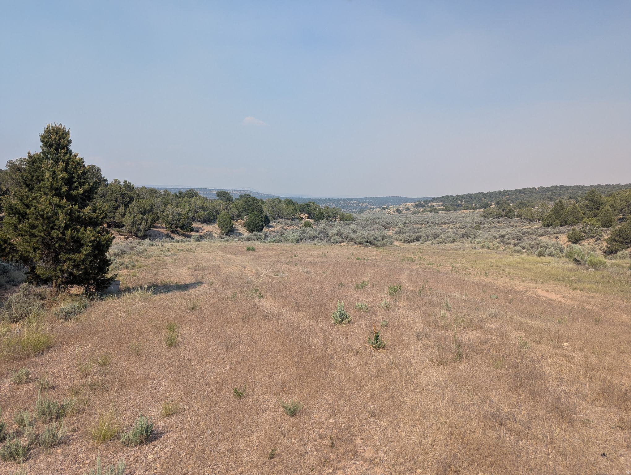 CEDAR MOUNTAIN NO. 9 - Land