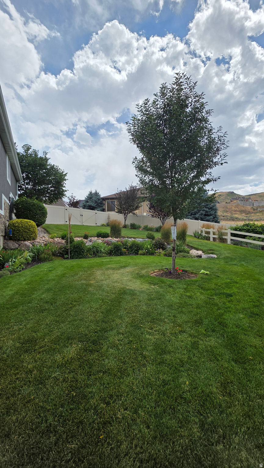 COVE AT HERRIMAN SPR - Residential