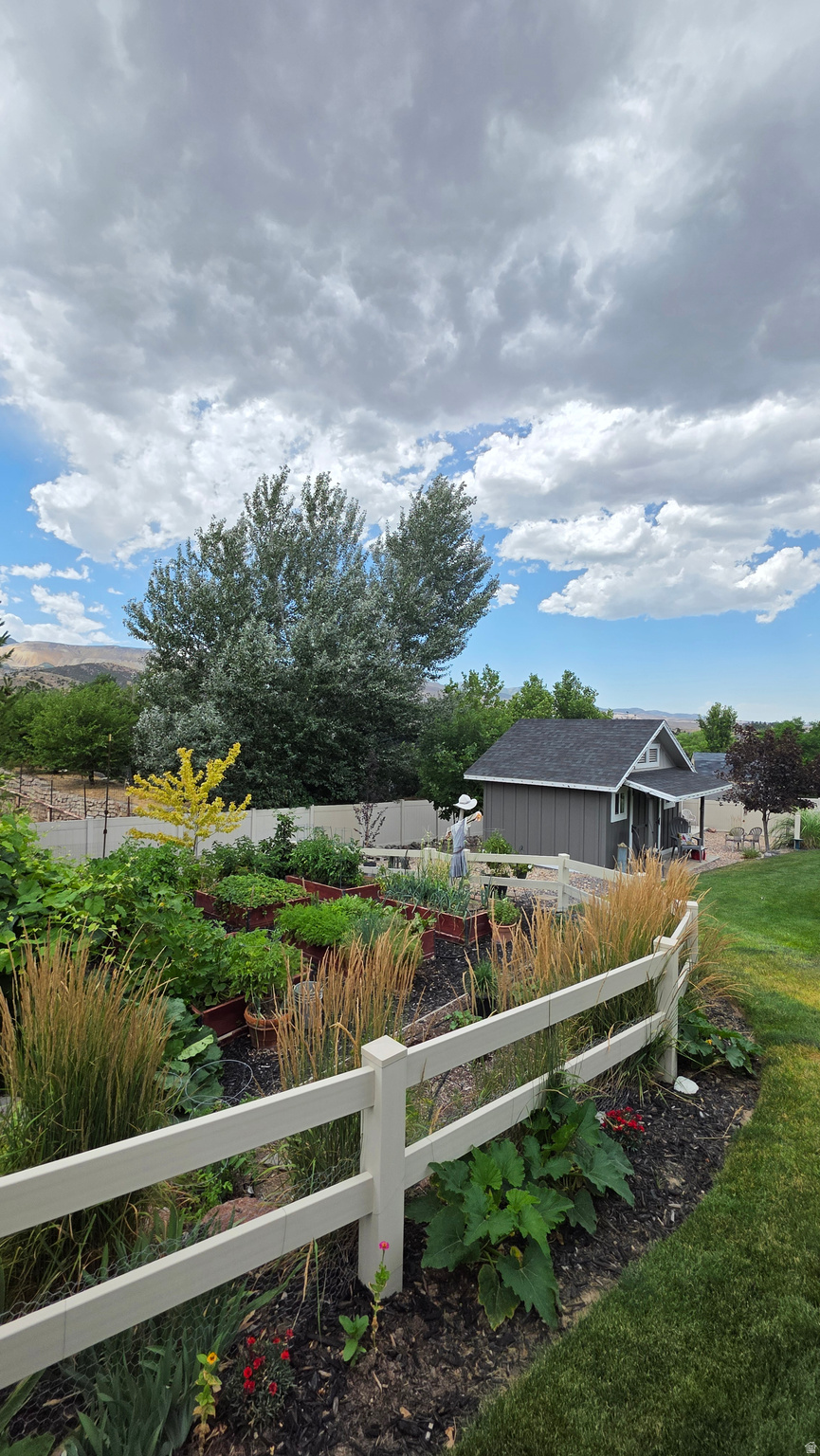 COVE AT HERRIMAN SPR - Residential