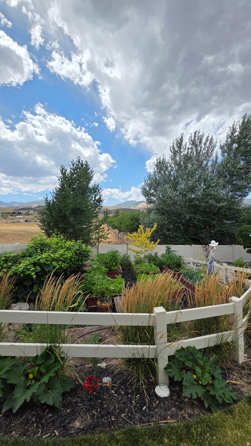COVE AT HERRIMAN SPR - Residential