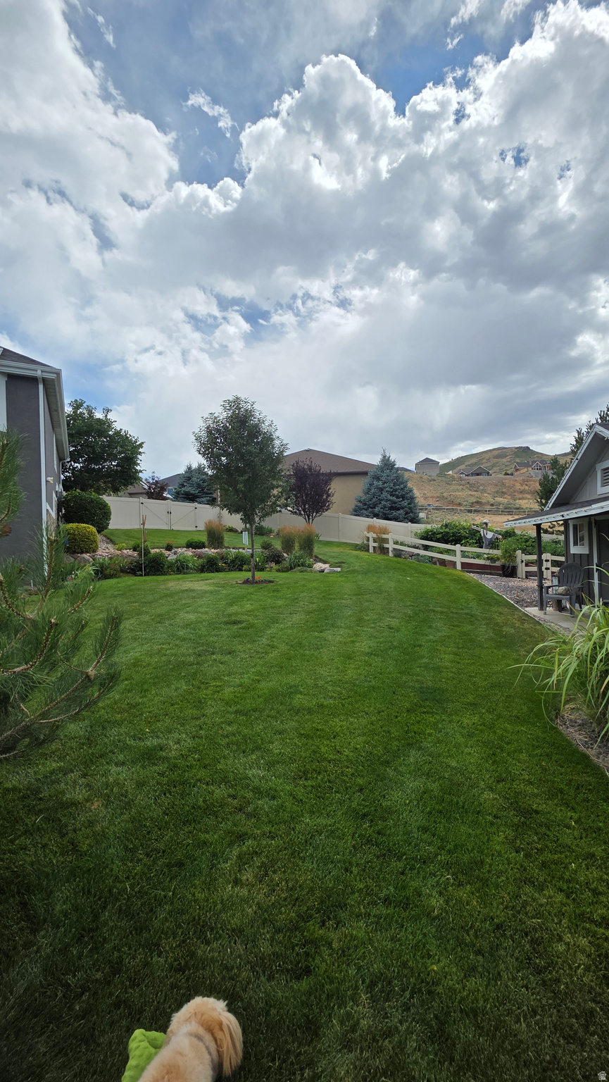 COVE AT HERRIMAN SPR - Residential