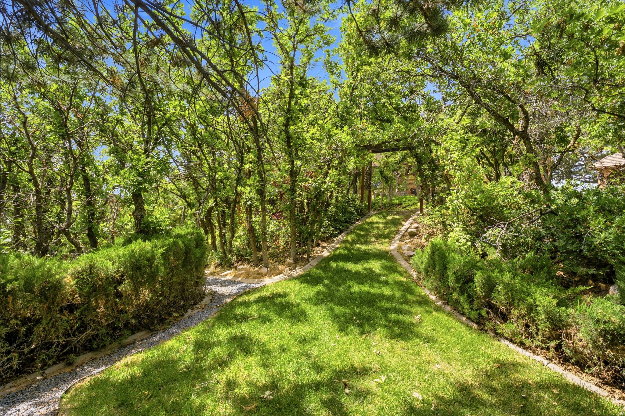 MAPLE COVE - Residential